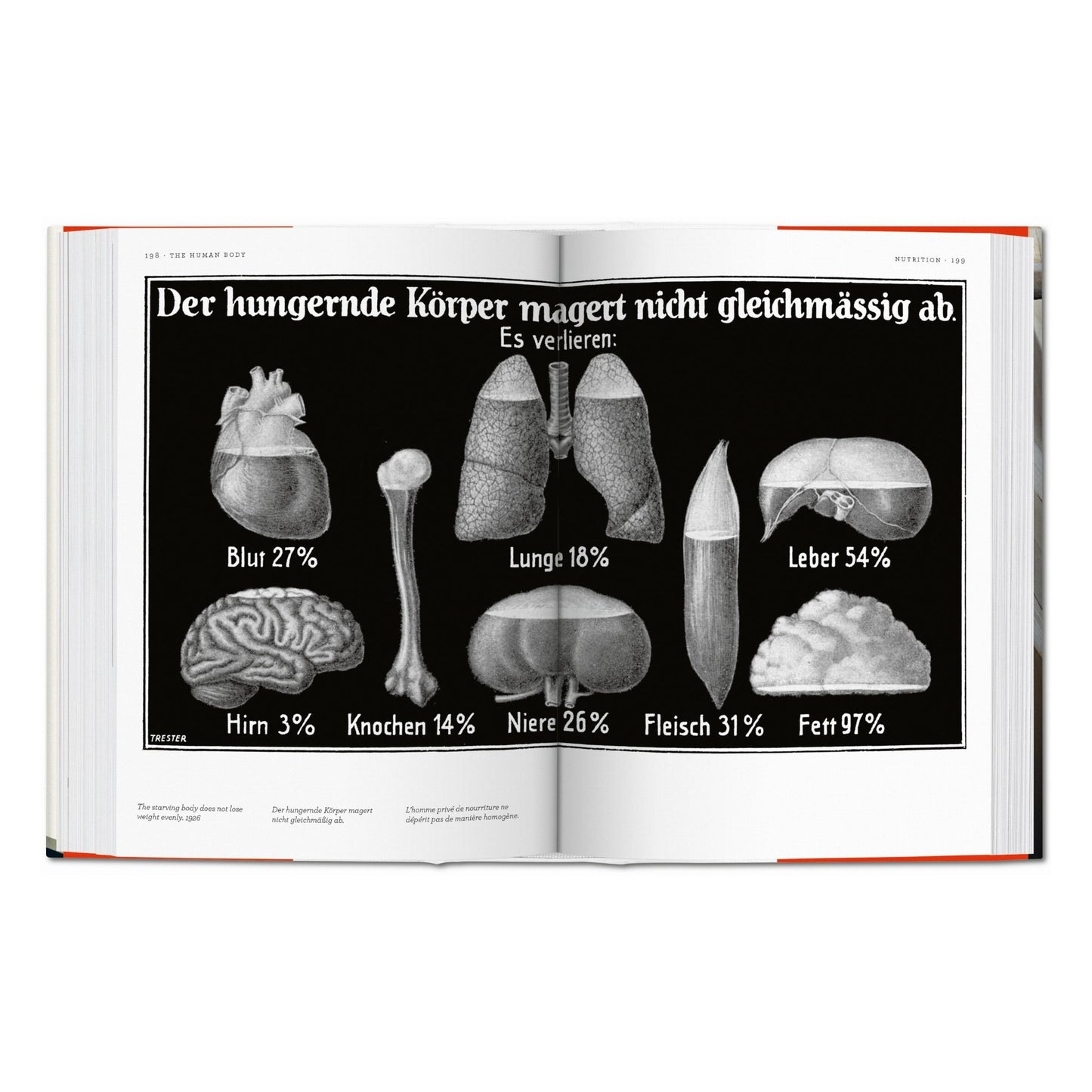 Fritz Kahn. Infographics Pioneer (Spanish, English, Italian)