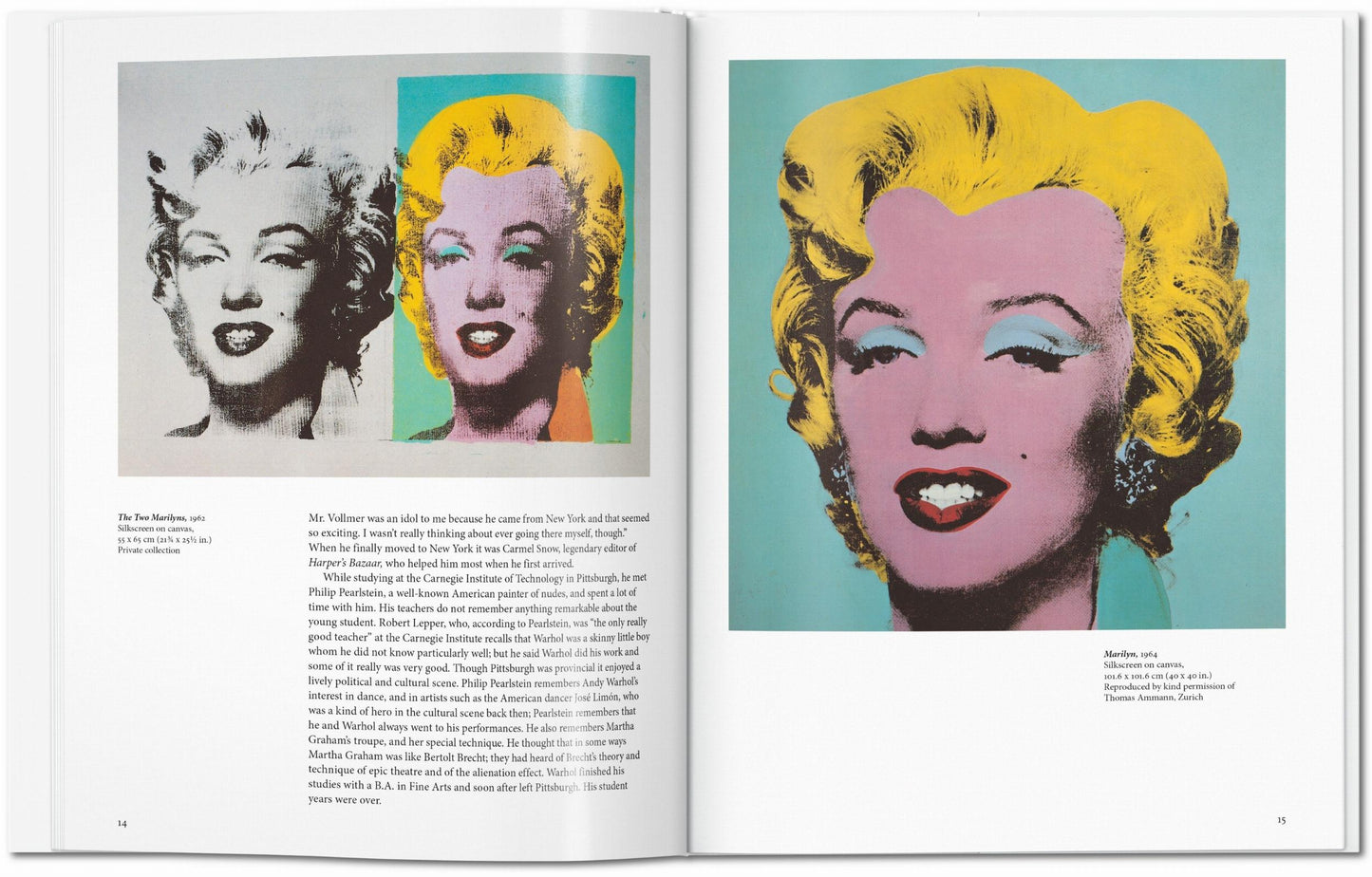 Warhol (Italian)