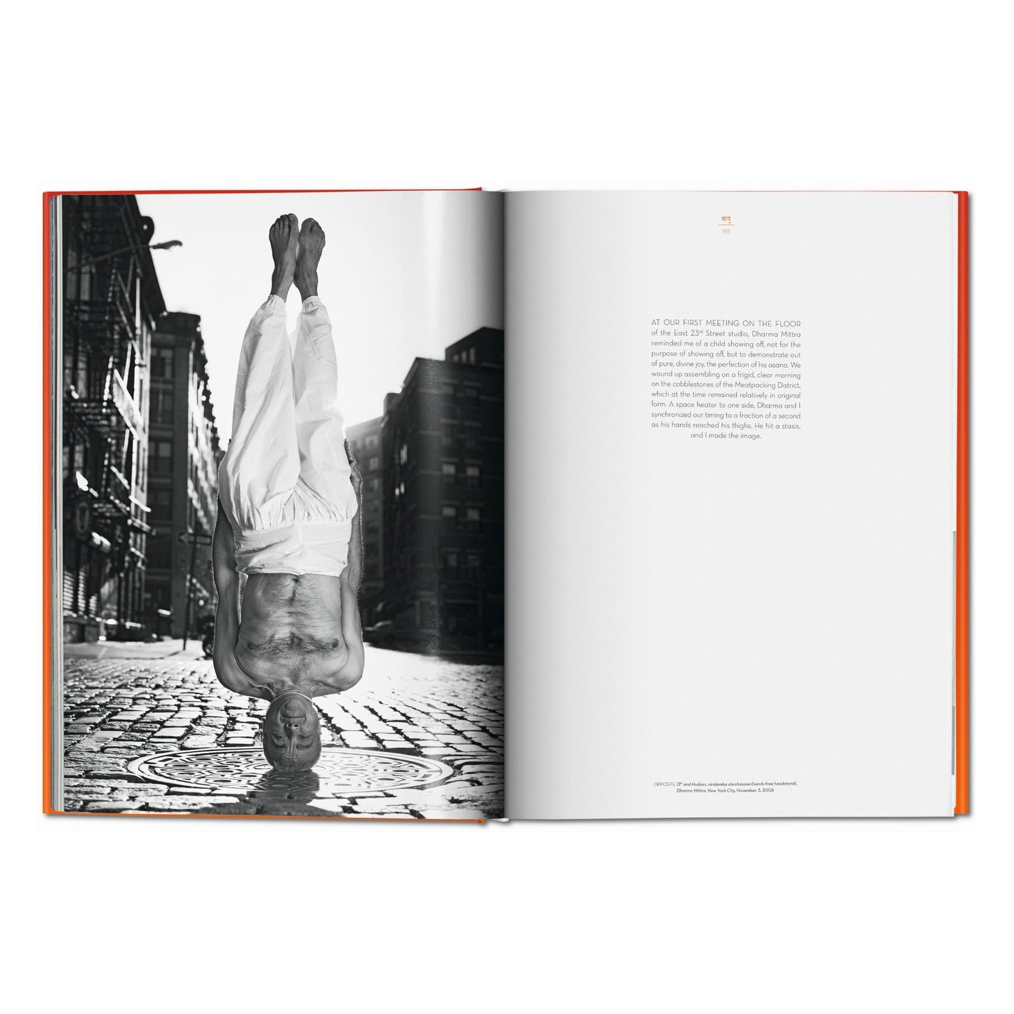 Michael O'Neill. À propos du Yoga: L'Architecture de la paix (French)