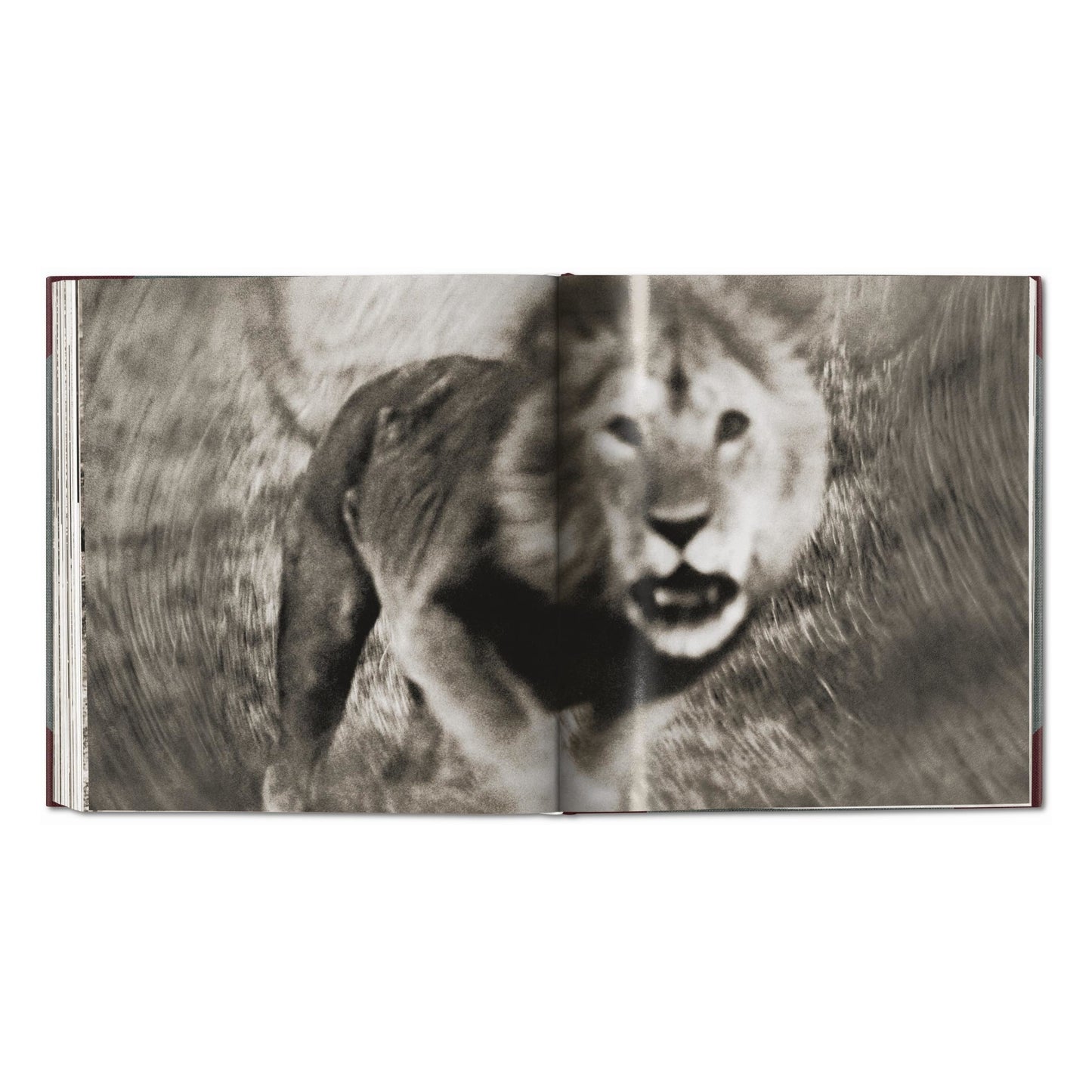 Peter Beard. The End of the Game. Revisited 2020 Edition (English)