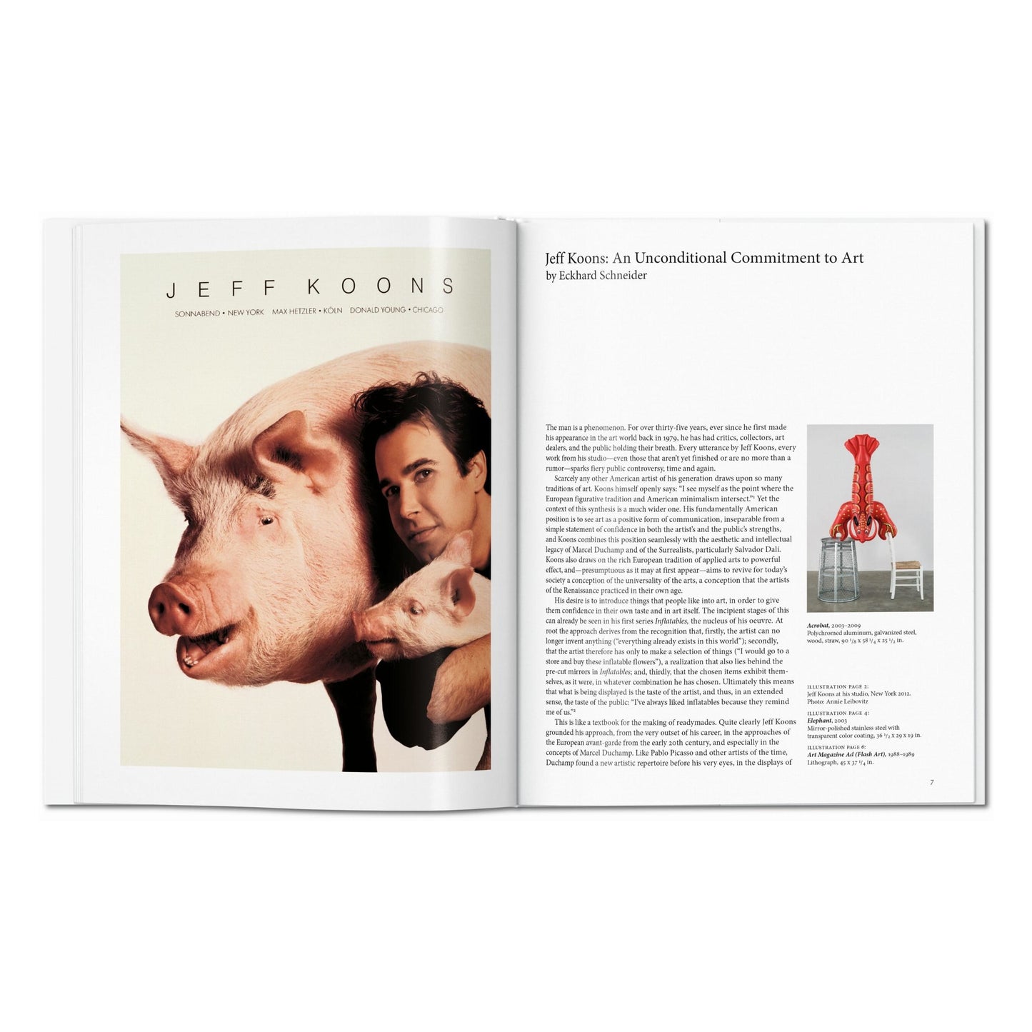 Koons (Dutch)