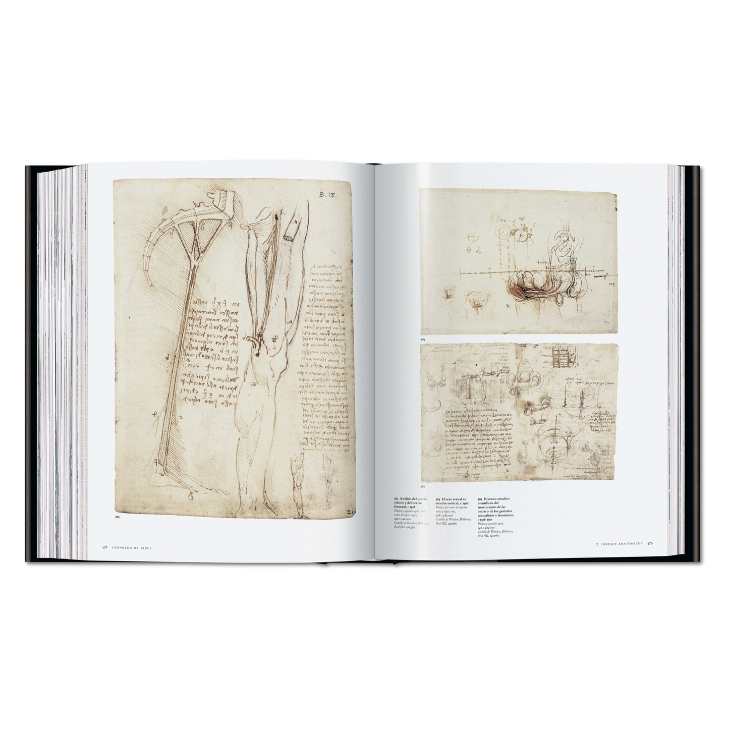 Leonardo. Obra pictórica completa y obra gráfica (Spanish)