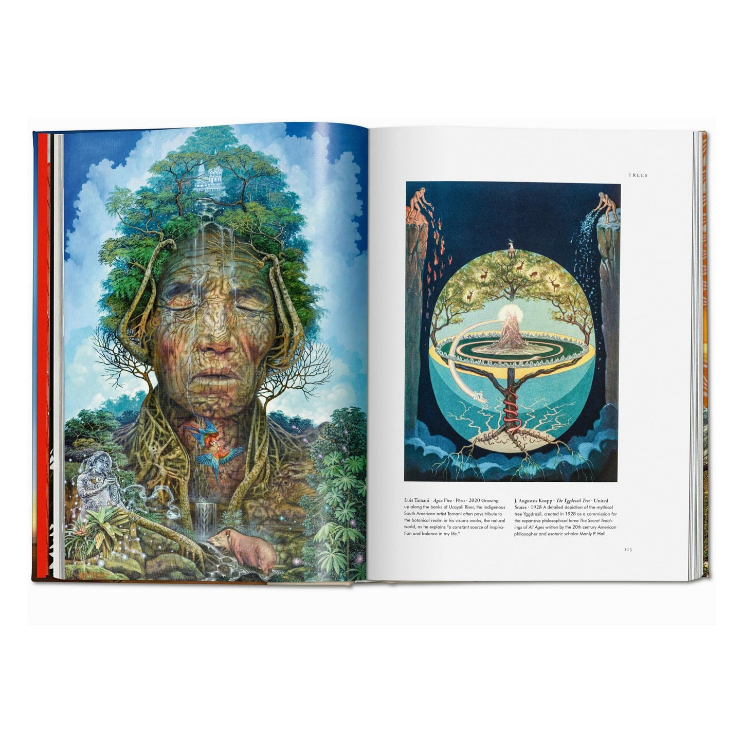 Pflanzen-Magie. Bibliothek der Esoterik (German)