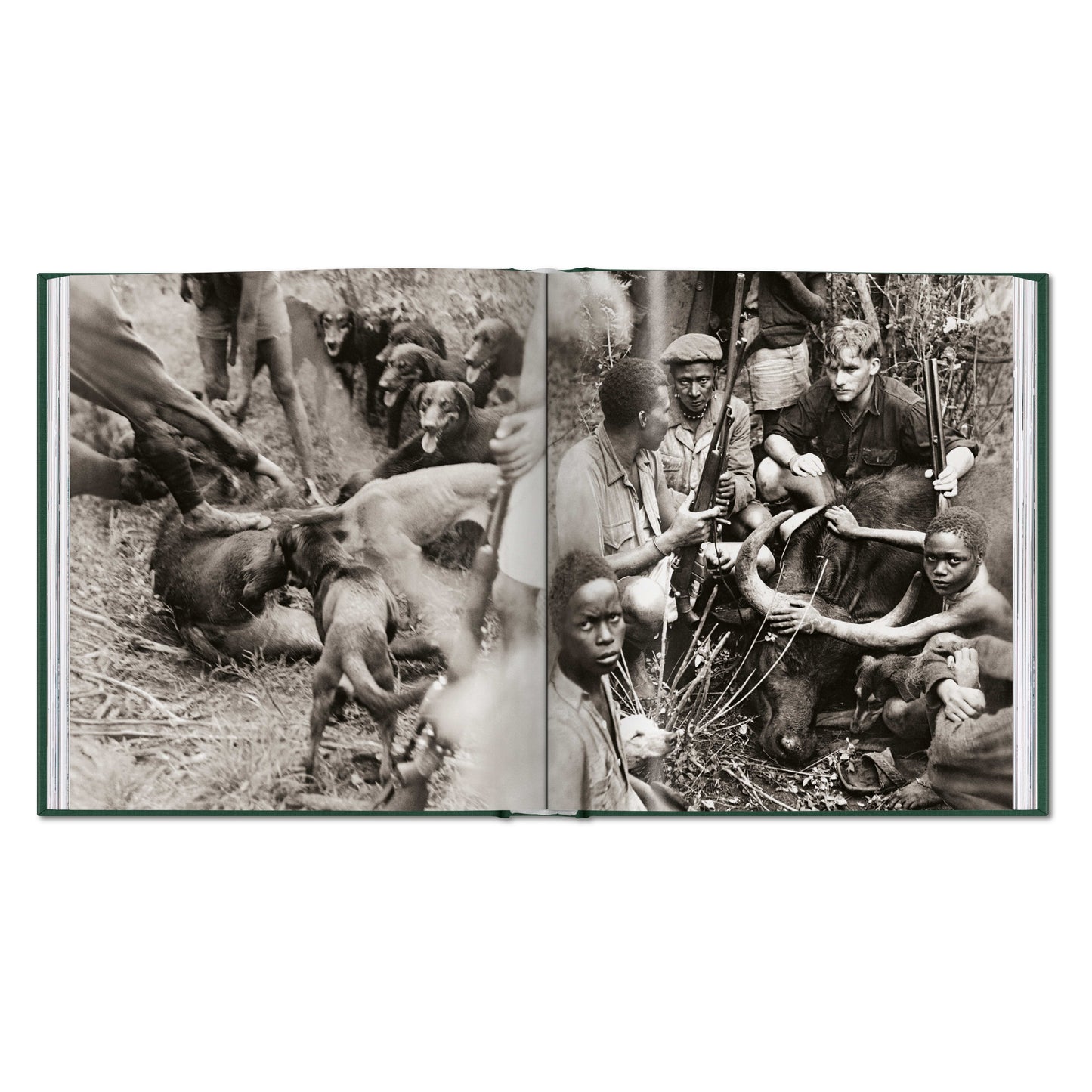 Peter Beard. The End of the Game (English)