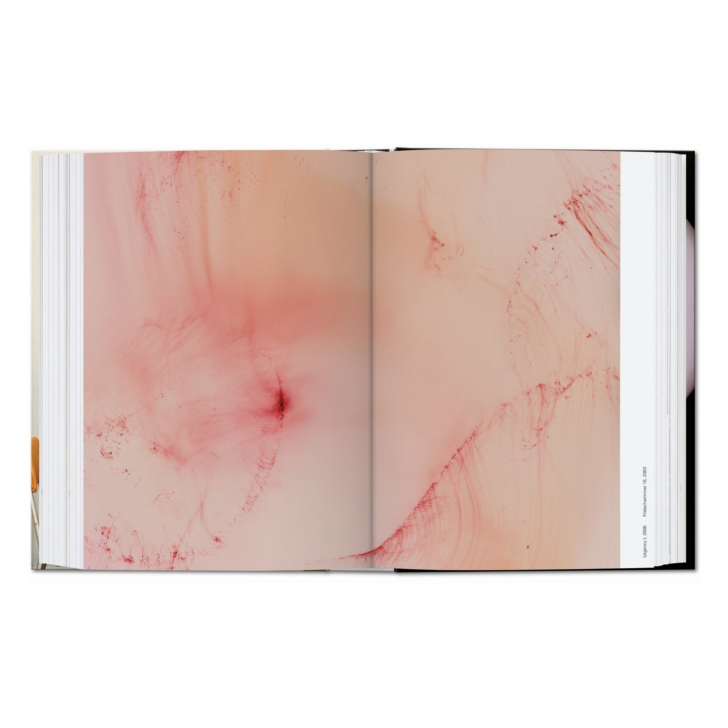 Wolfgang Tillmans. four books. 45th Ed. (English)