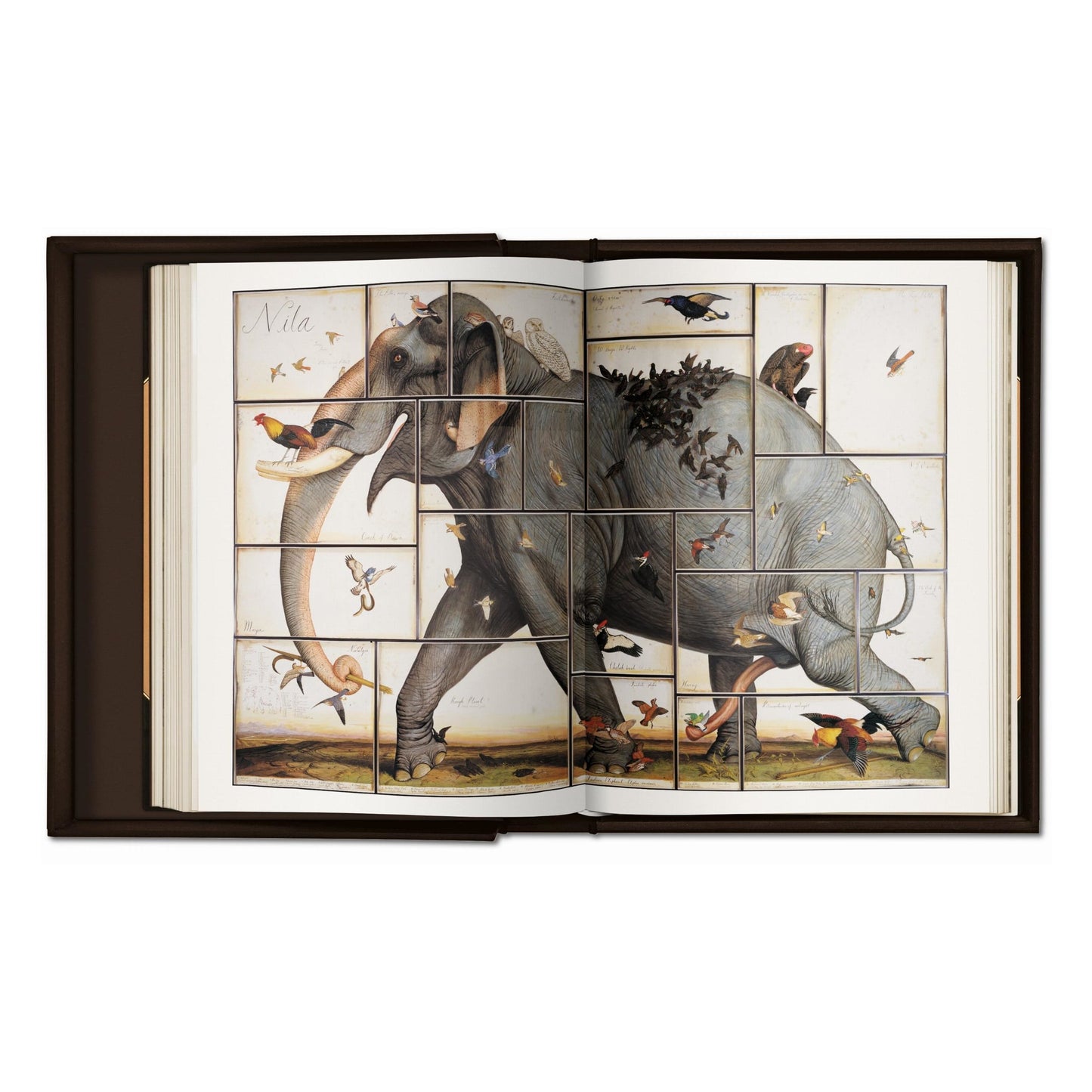Walton Ford. Pancha Tantra (German, French, English)