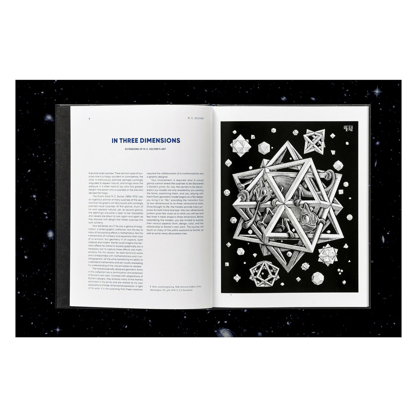 M.C. Escher. Calidociclos (Spanish)