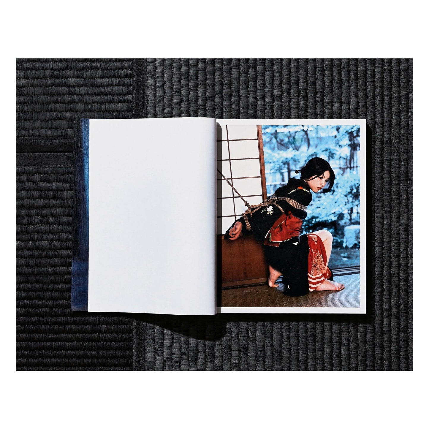 Nobuyoshi Araki. Bondage (German, French, English) (AP)