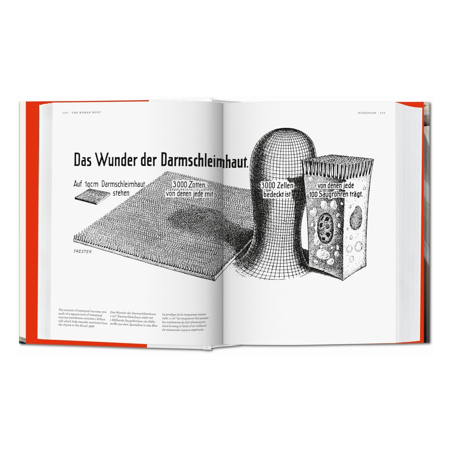 Fritz Kahn. Infographics Pioneer (Spanish, English, Italian)