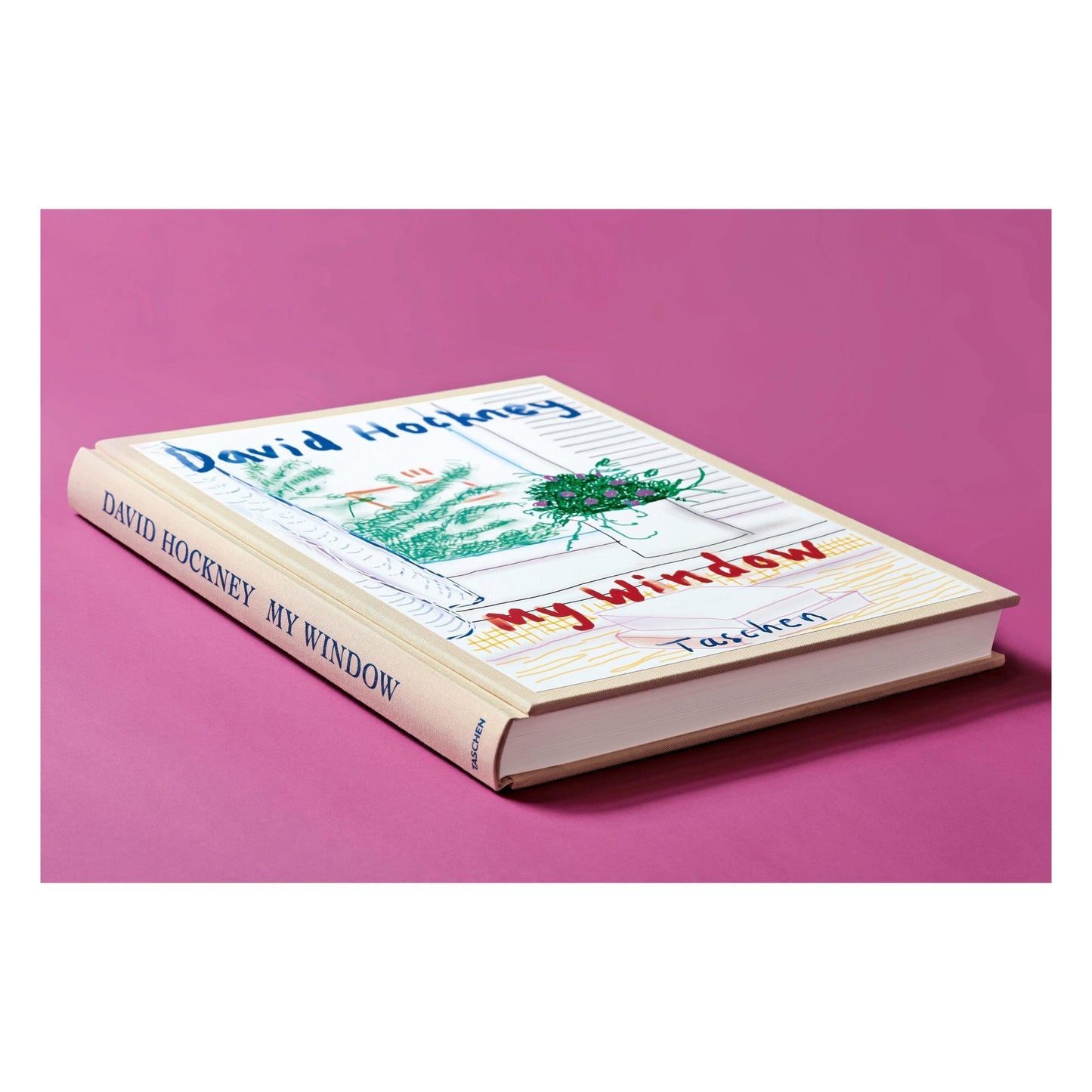 Hockney, My Window, Art A (No.1-250) (English) (AP)