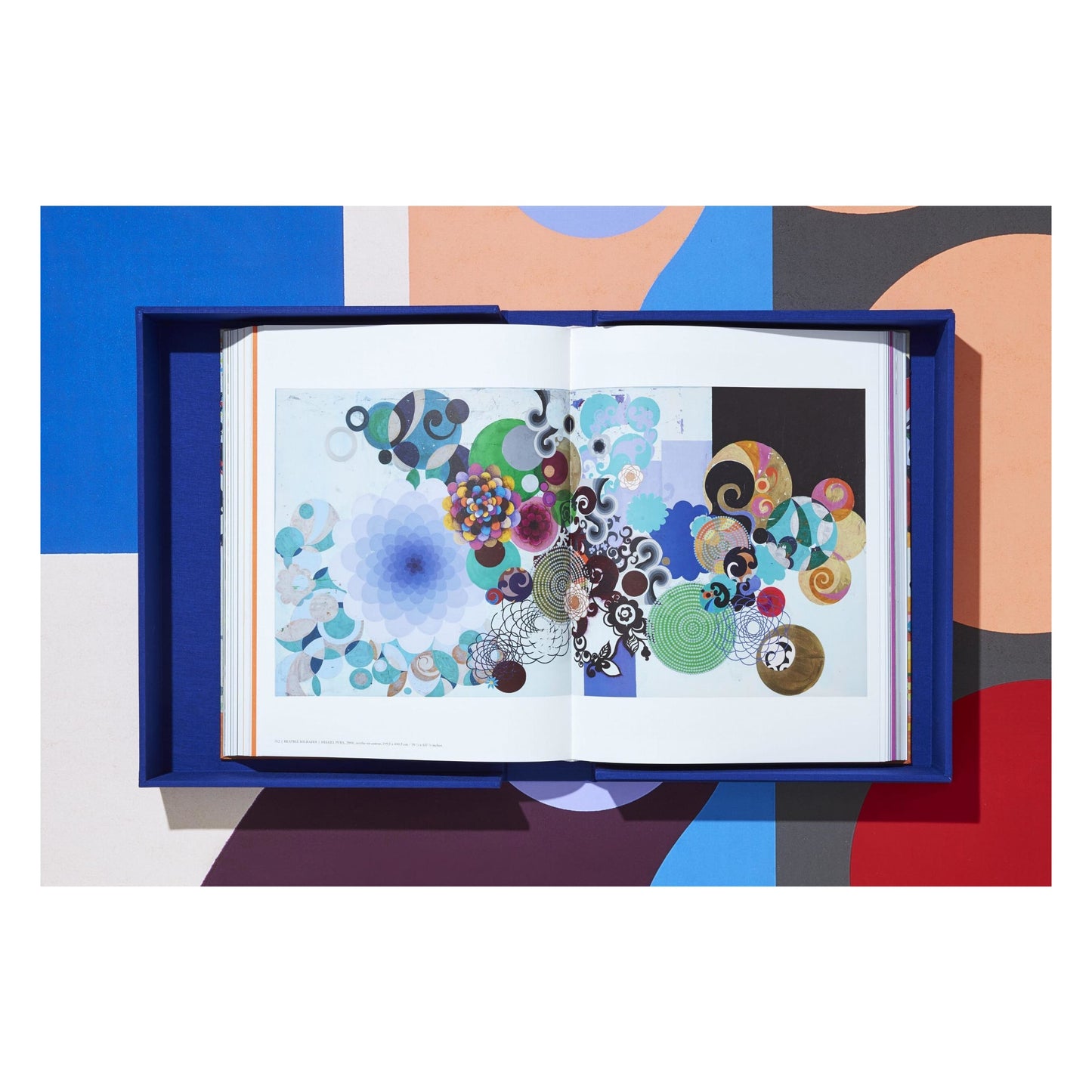 Beatriz Milhazes. Art Edition (German, French, English) (AP)