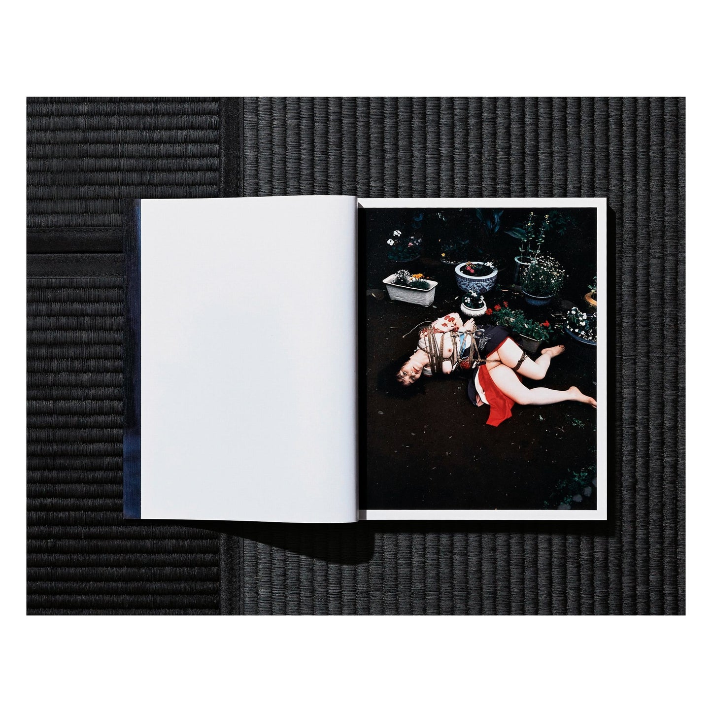 Nobuyoshi Araki. Bondage (German, French, English) (AP)