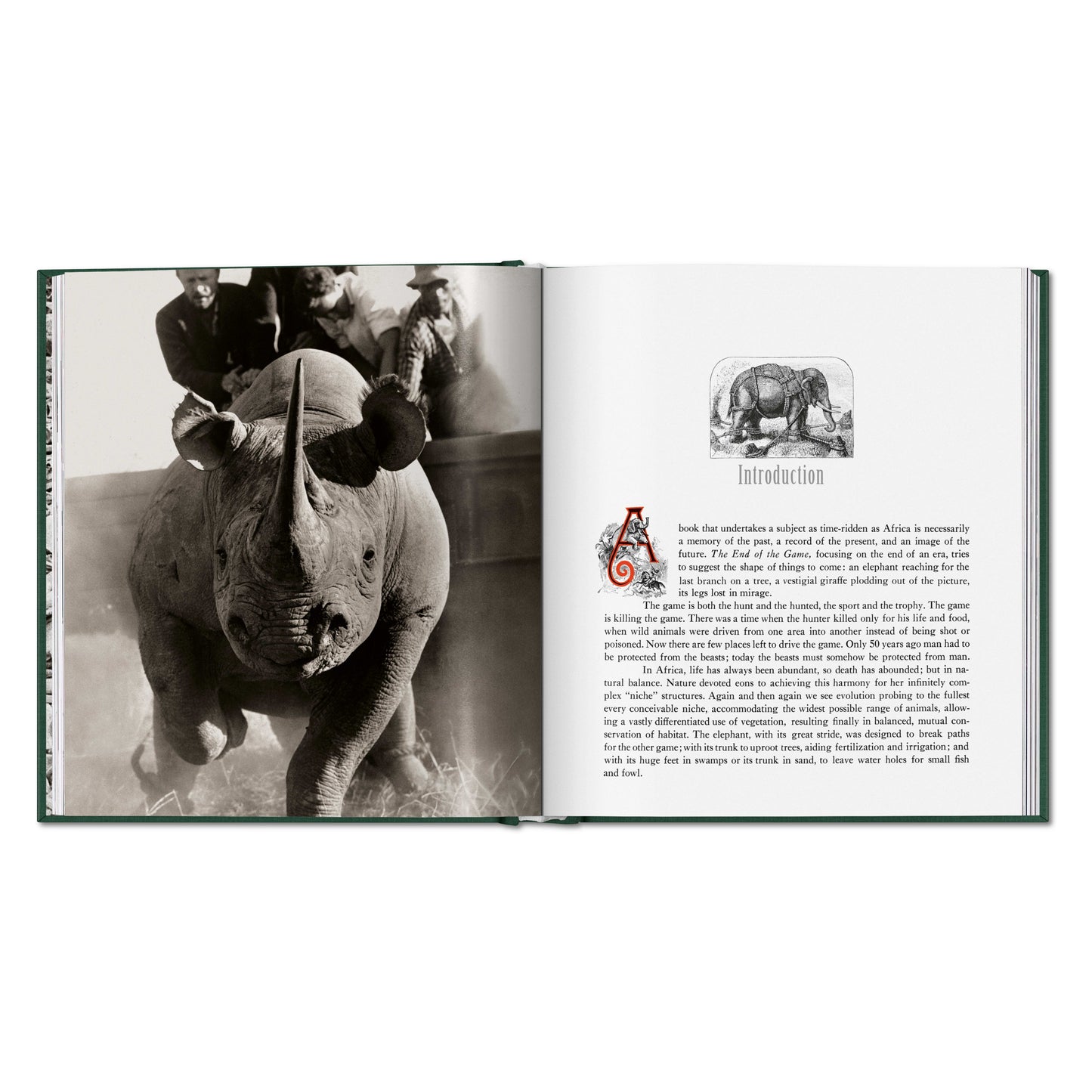 Peter Beard. The End of the Game (English)