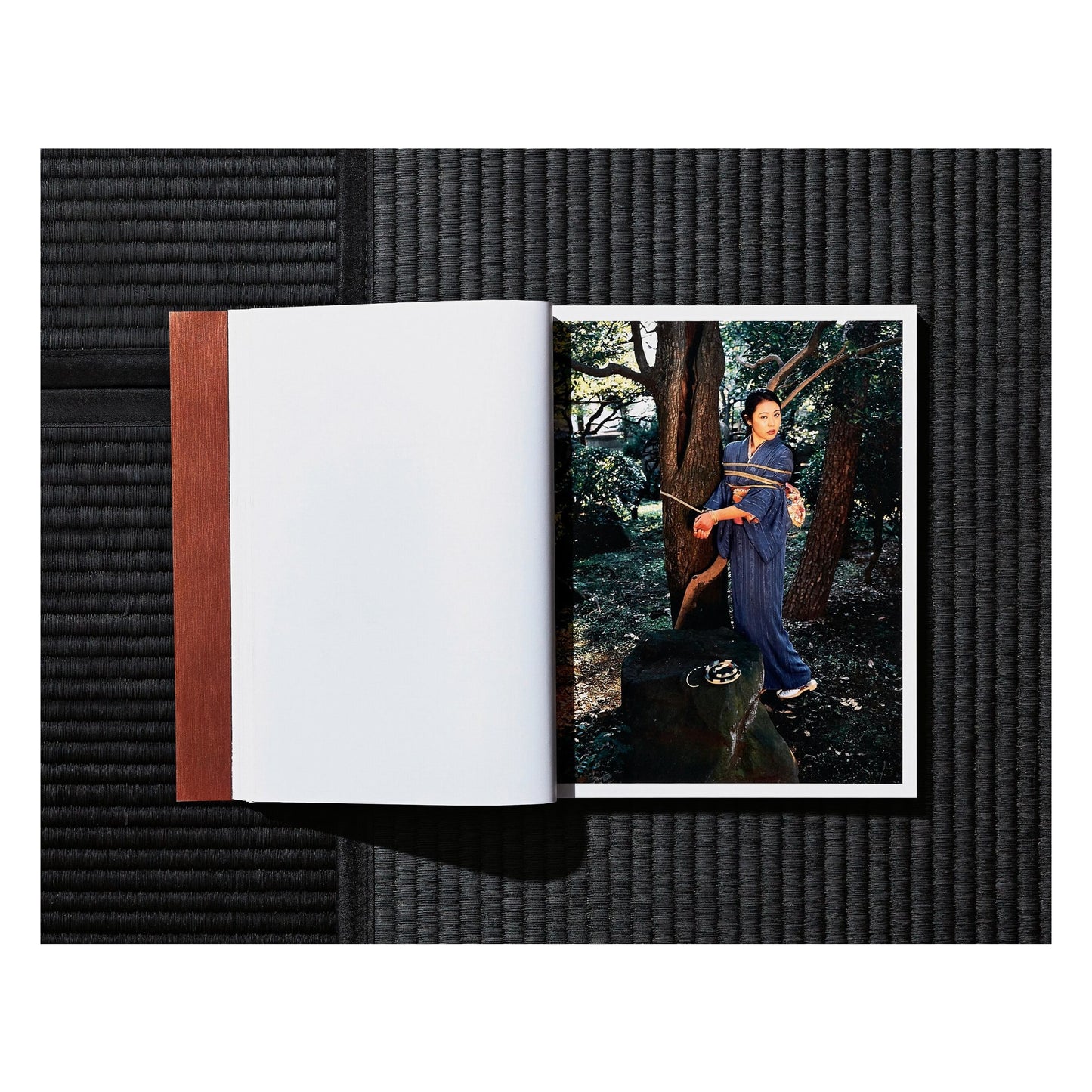 Nobuyoshi Araki. Bondage (German, French, English) (SA)