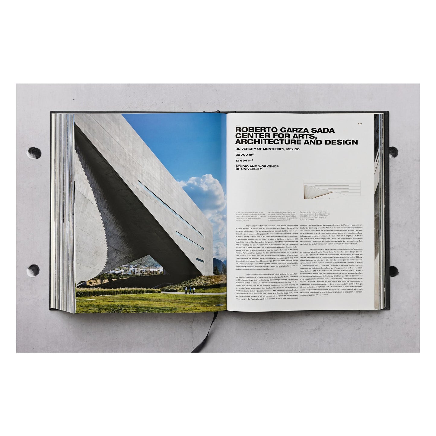 Ando. Complete Works 1975–Today. Art Edition (German, French, English) (AP)