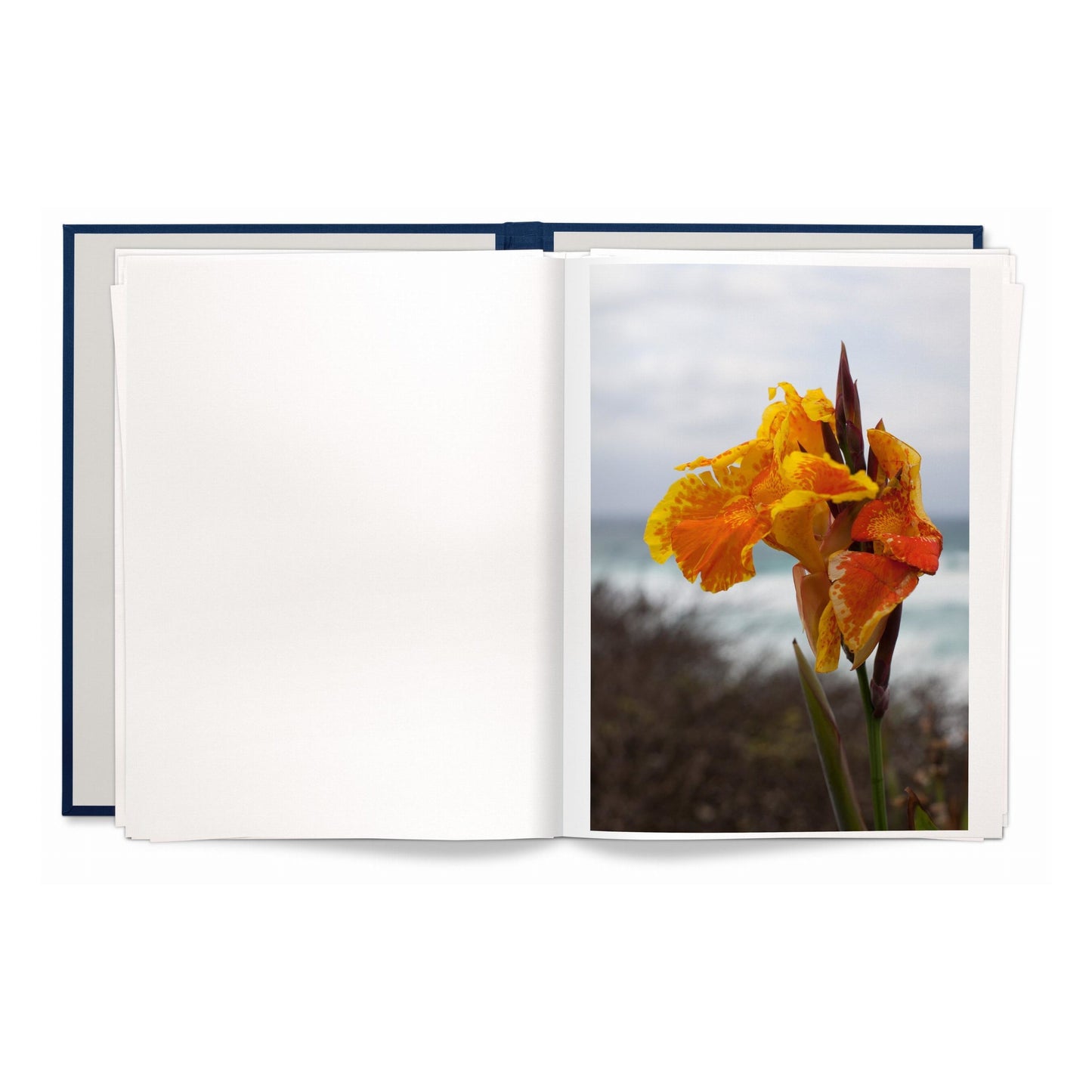 Wolfgang Tillmans. Neue Welt, Art Edition (German, French, English)