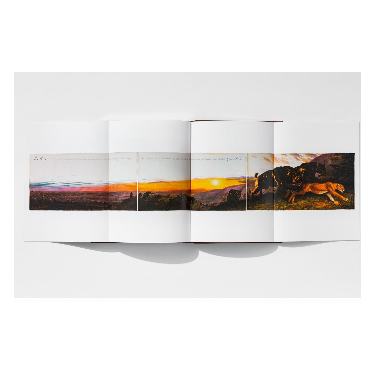 Walton Ford. Pancha Tantra. Art Edition (No. 1–100) ‘Granary’ (German, French, English) (SA)