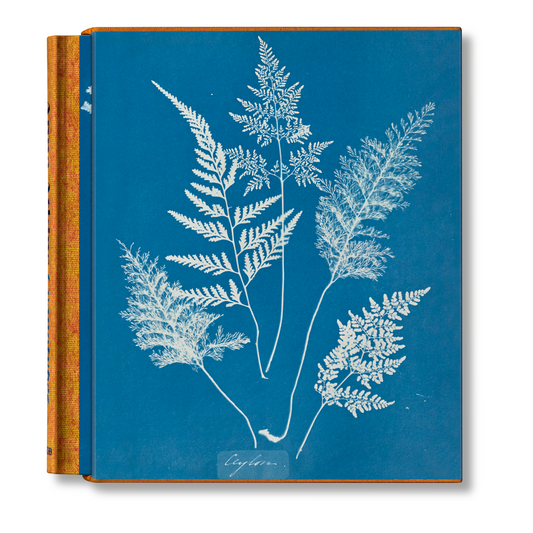 Anna Atkins. Cyanotypes (German, French, English)