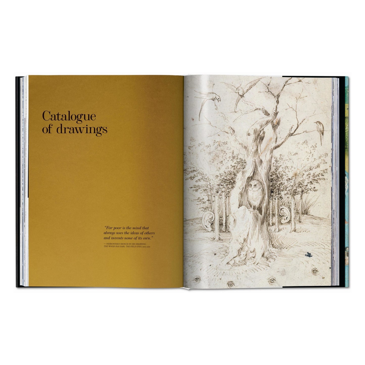 Bosch. Das vollständige Werk (German)