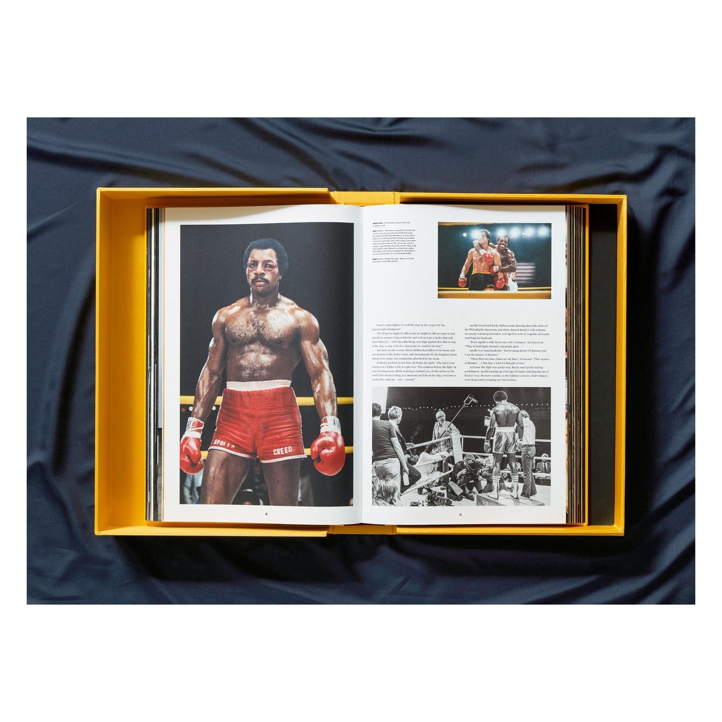Rocky: The Complete Films (German, French, English) (SA)