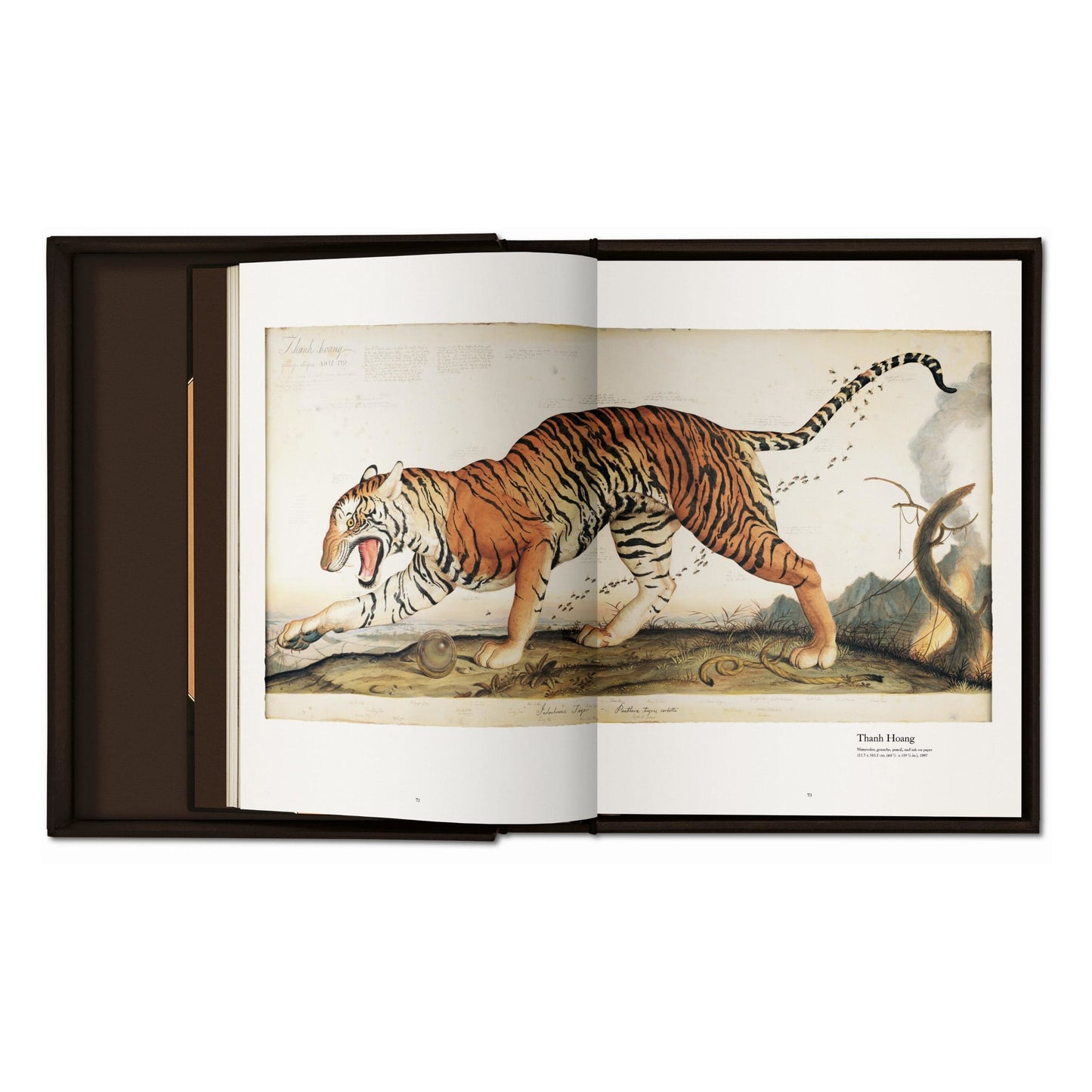 Walton Ford. Pancha Tantra (German, French, English)