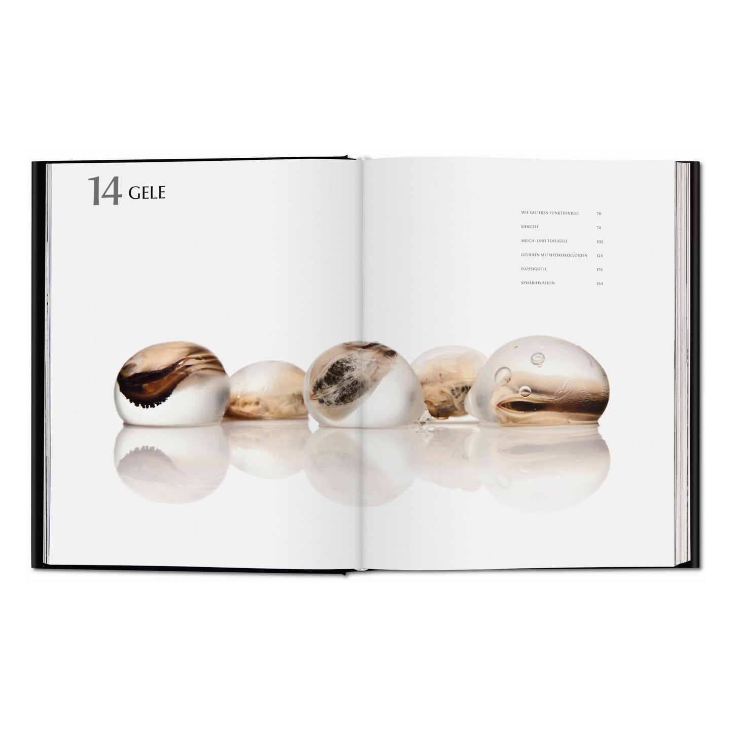Modernist Cuisine. Die Revolution der Kochkunst (German)