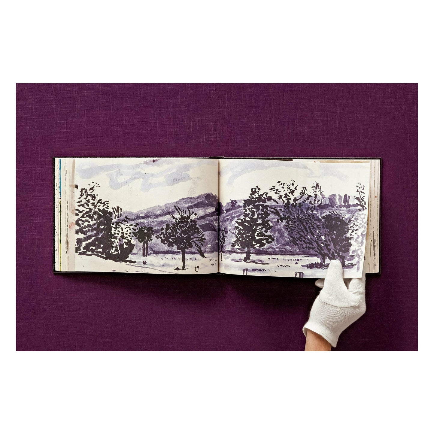 David Hockney. 220 for 2020 (English) (SA)