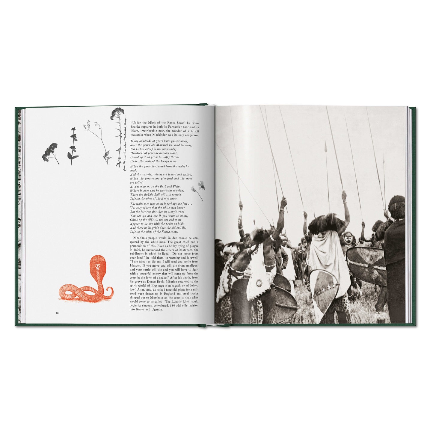 Peter Beard. The End of the Game (English)