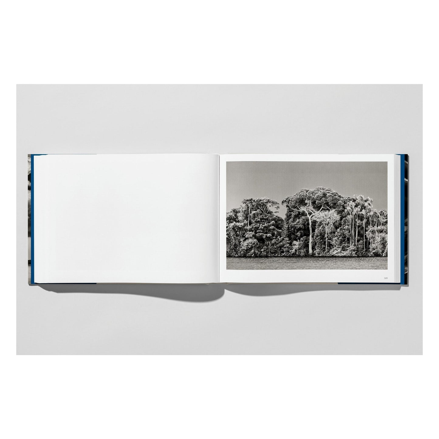 Sebastião Salgado. Amazônia (English)