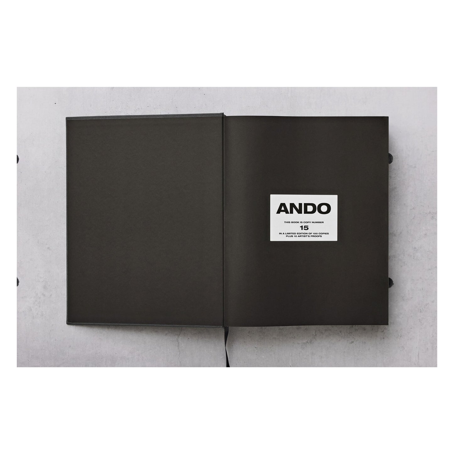 Ando. Complete Works 1975–Today. Art Edition (German, French, English) (AP)