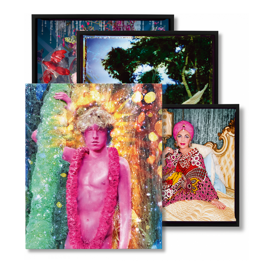 David LaChapelle. Lost and Found – Good News, Art Edition (German, French, English) (SA)