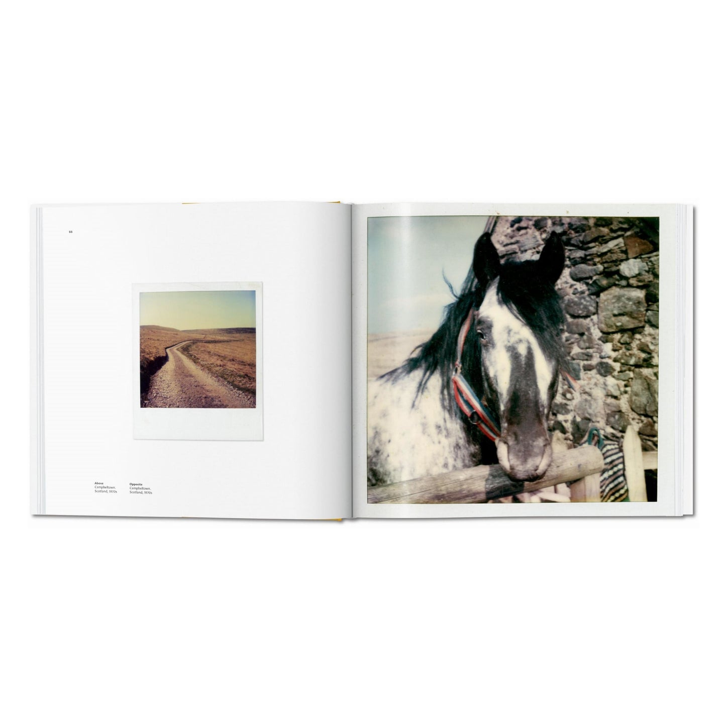 Linda McCartney. The Polaroid Diaries (German, French, English)