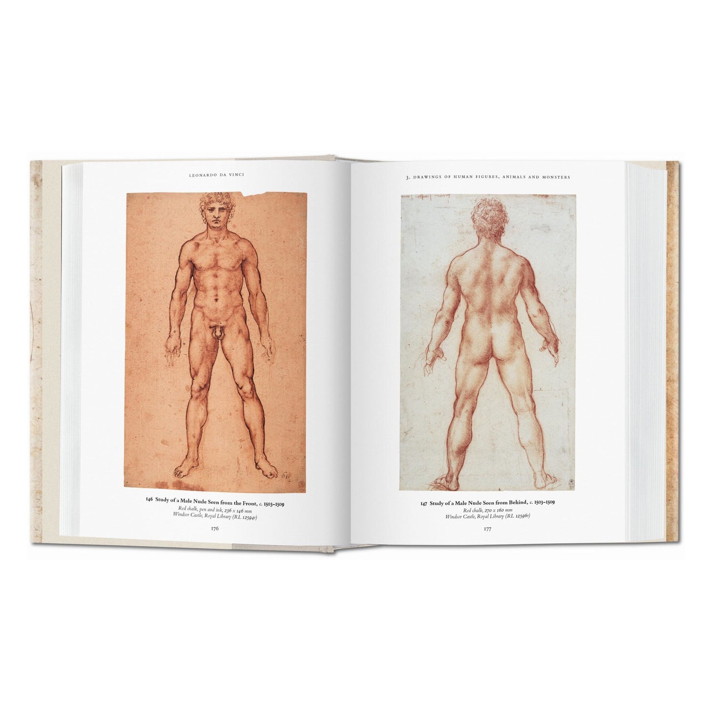 Leonardo. Drawings (Portuguese)