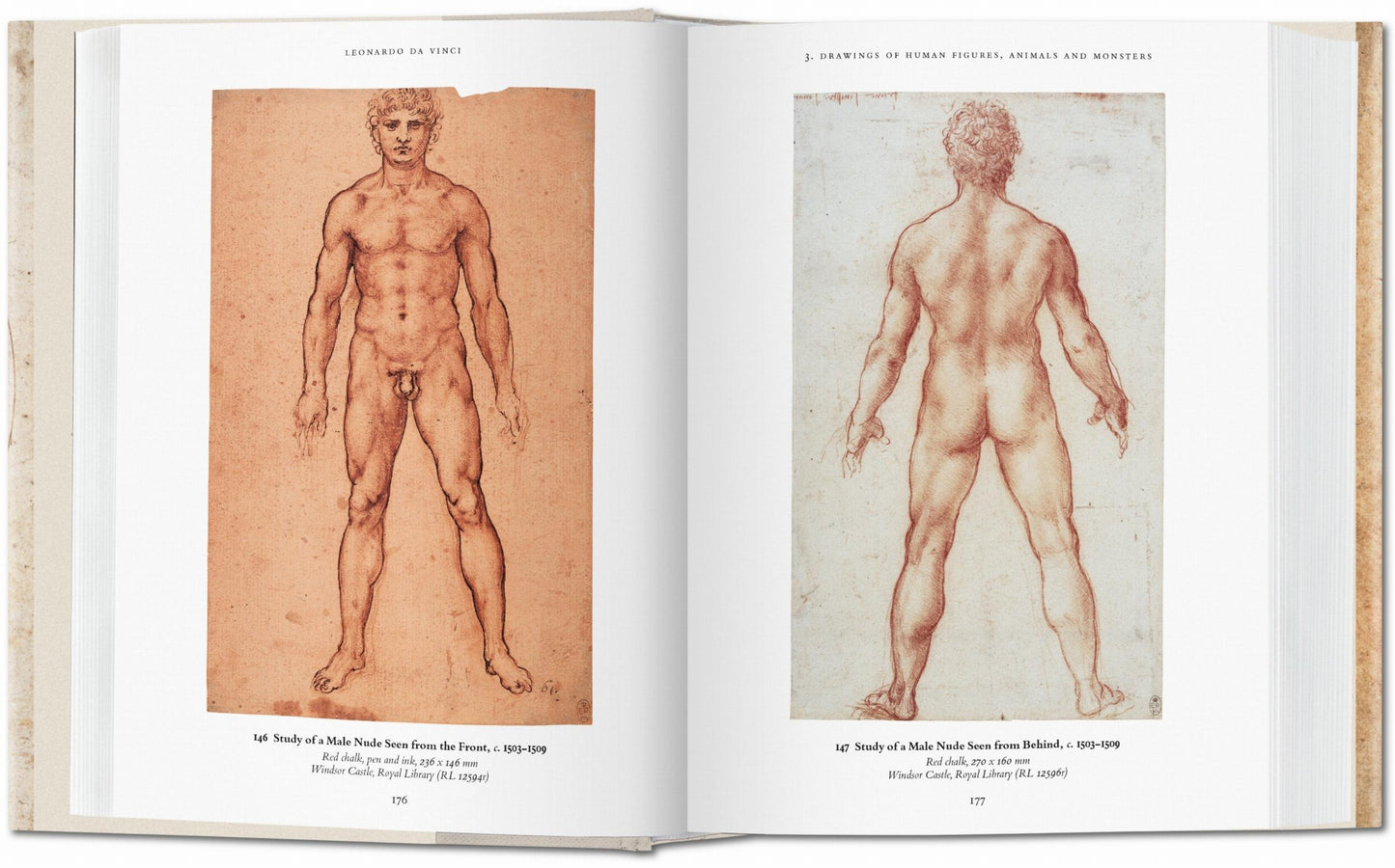 Leonardo. Drawings (Portuguese)