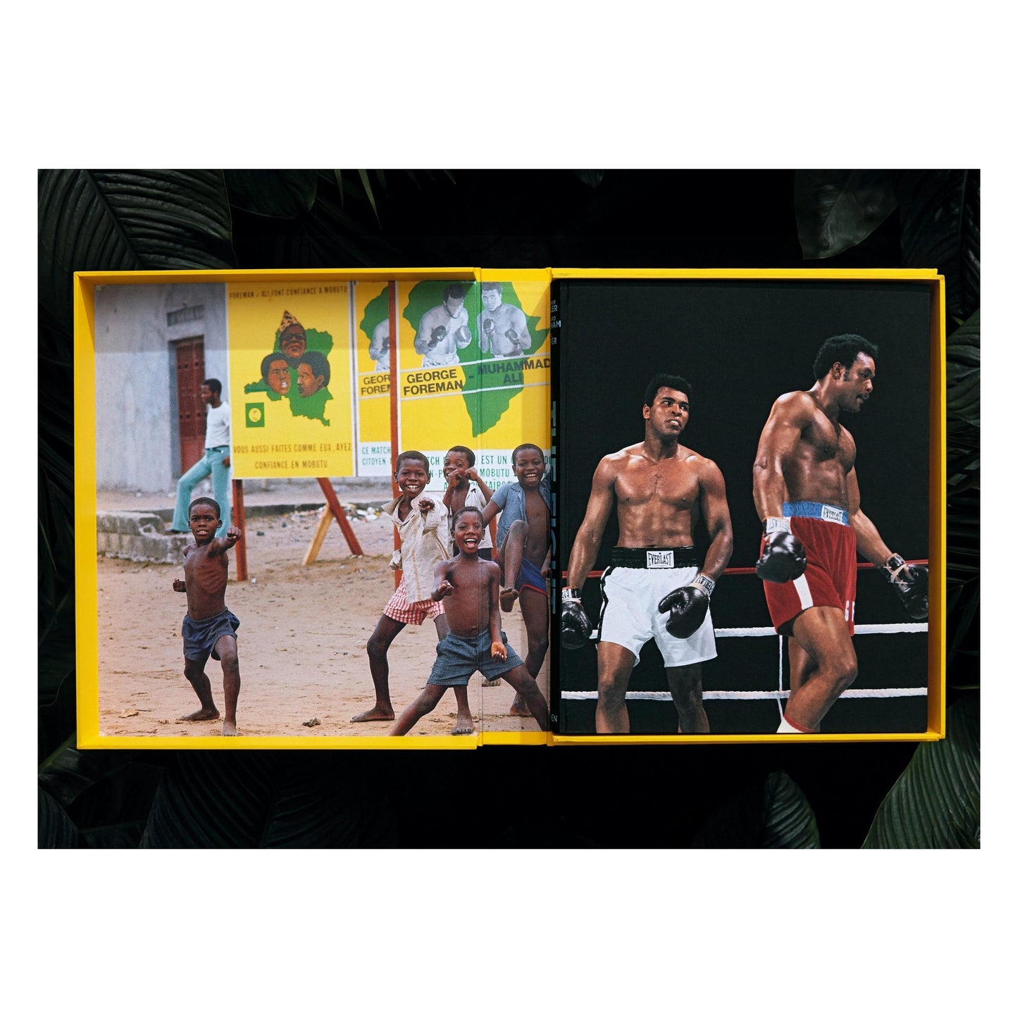 Norman Mailer. Neil Leifer. Howard L. Bingham. The Fight (English)