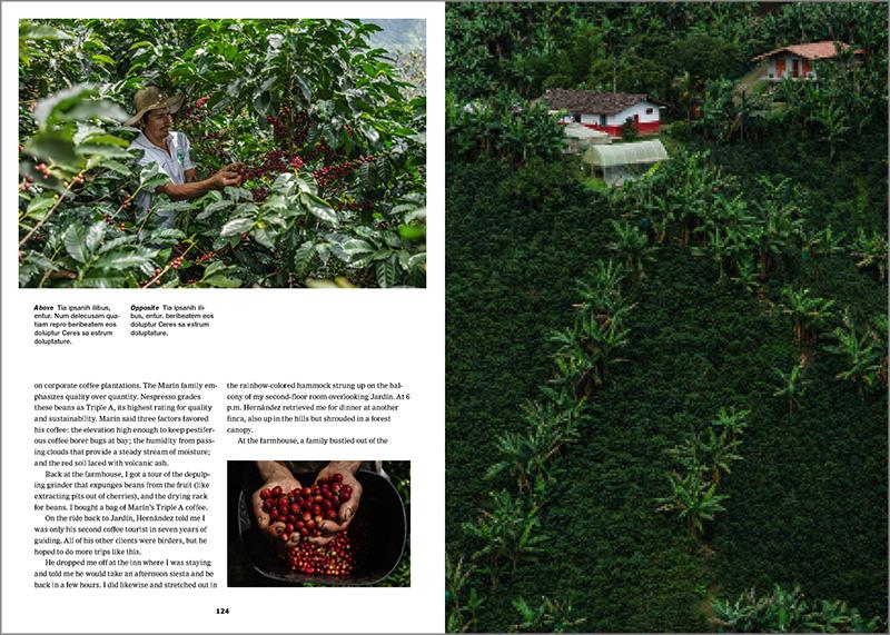 The New York Times. Cultured Traveler. 100 Reisen für Weltenbummler von Agadir bis Yogyakarta (German)