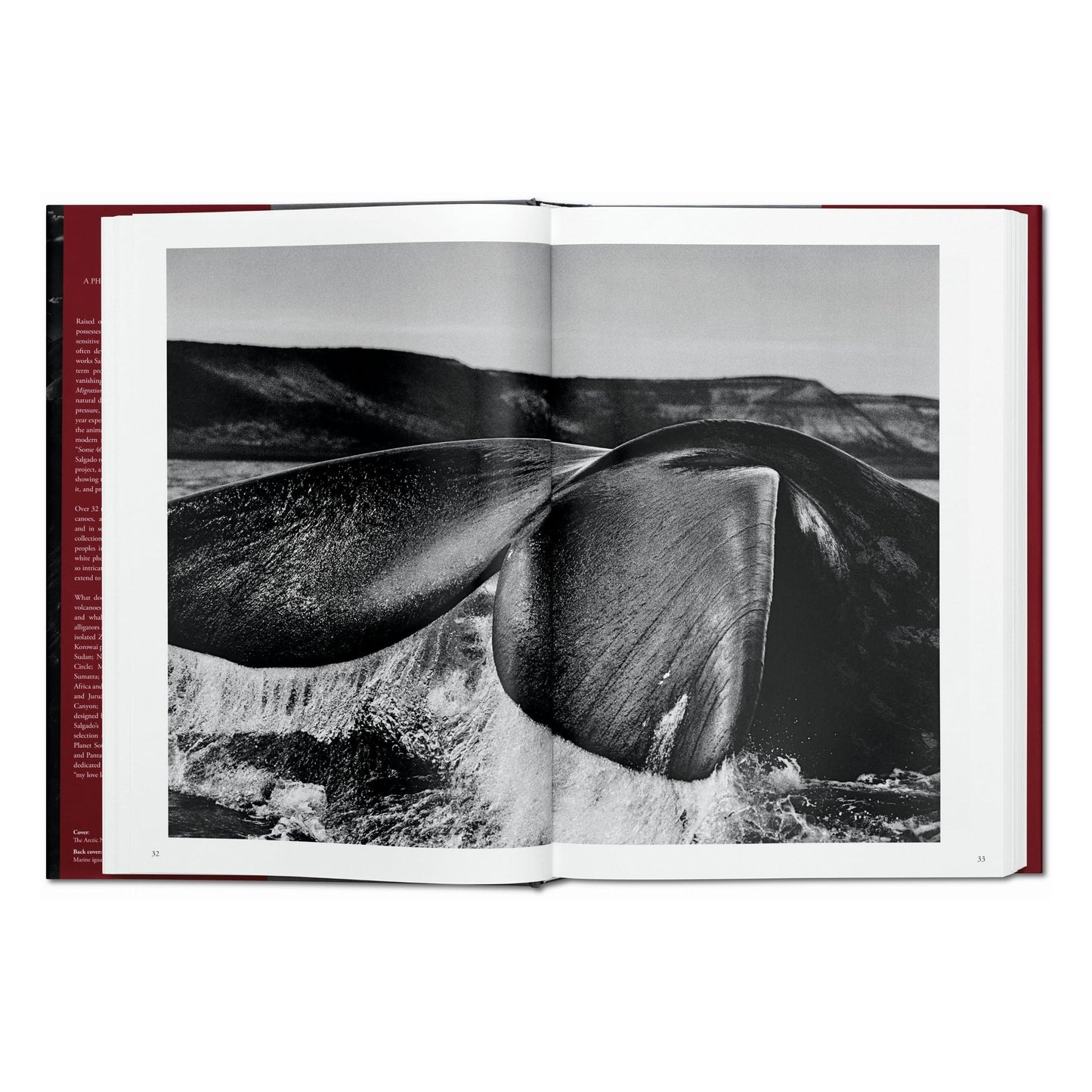 Sebastião Salgado. Genesis (German)