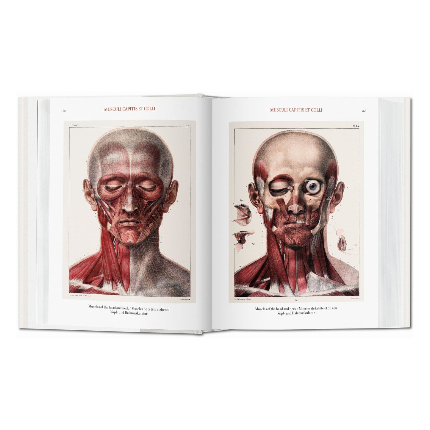 Bourgery. Atlas of Human Anatomy and Surgery (German, French, English)