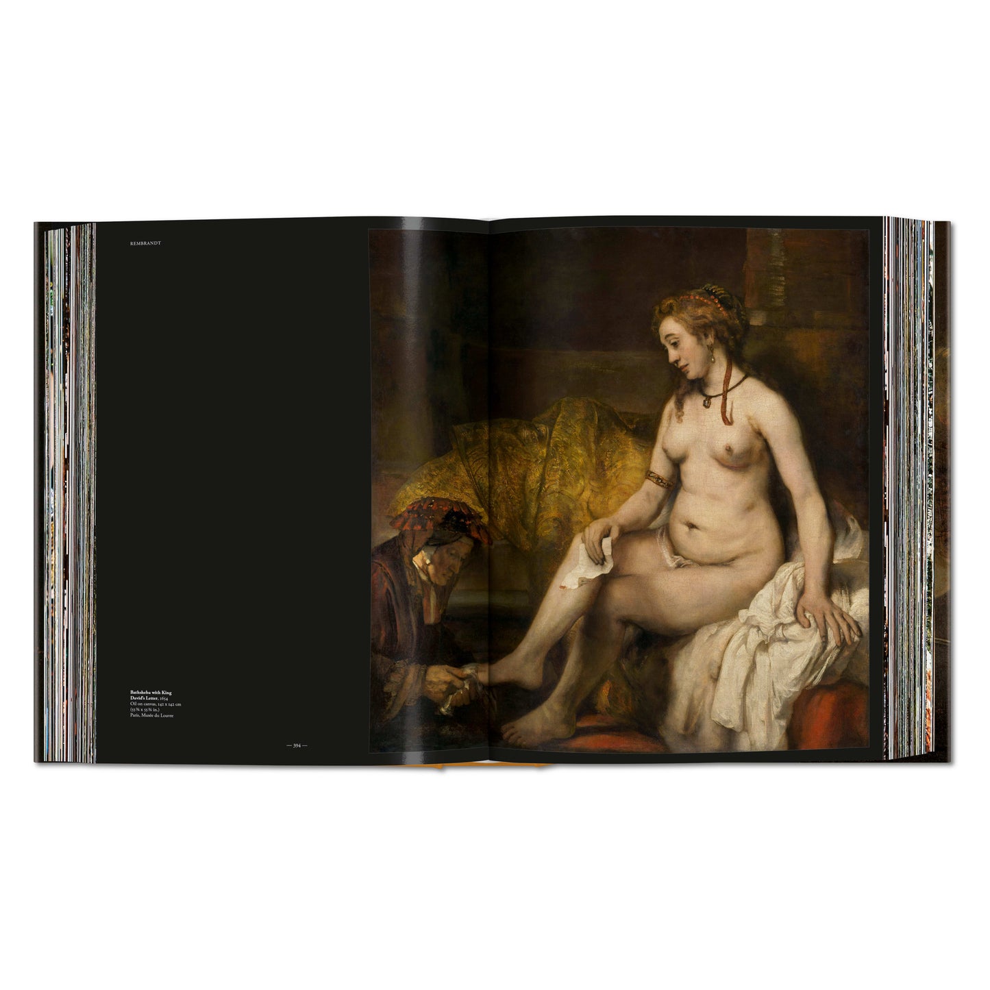 Rembrandt. Sämtliche Gemälde (German)