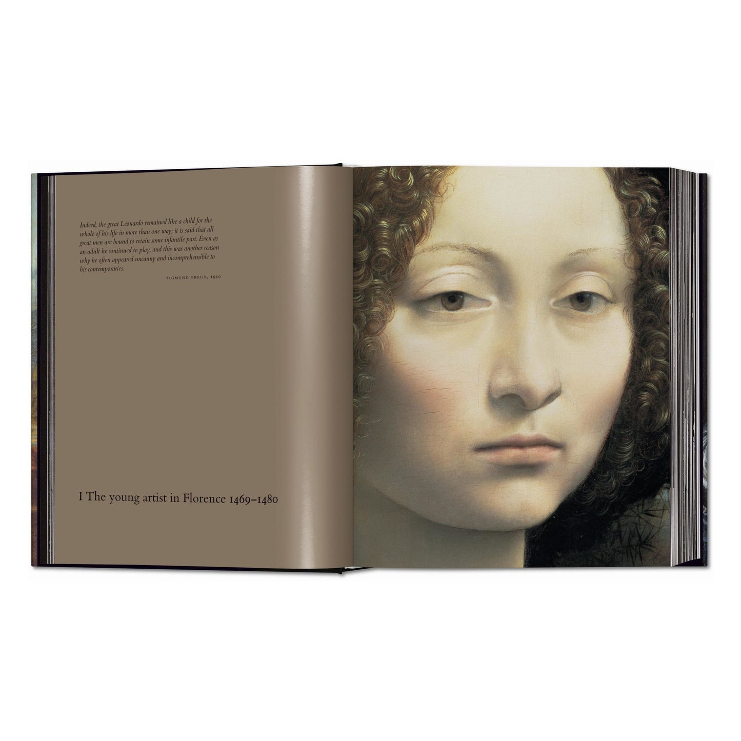 Léonard de Vinci. Tout l'œuvre peint et graphique (French)