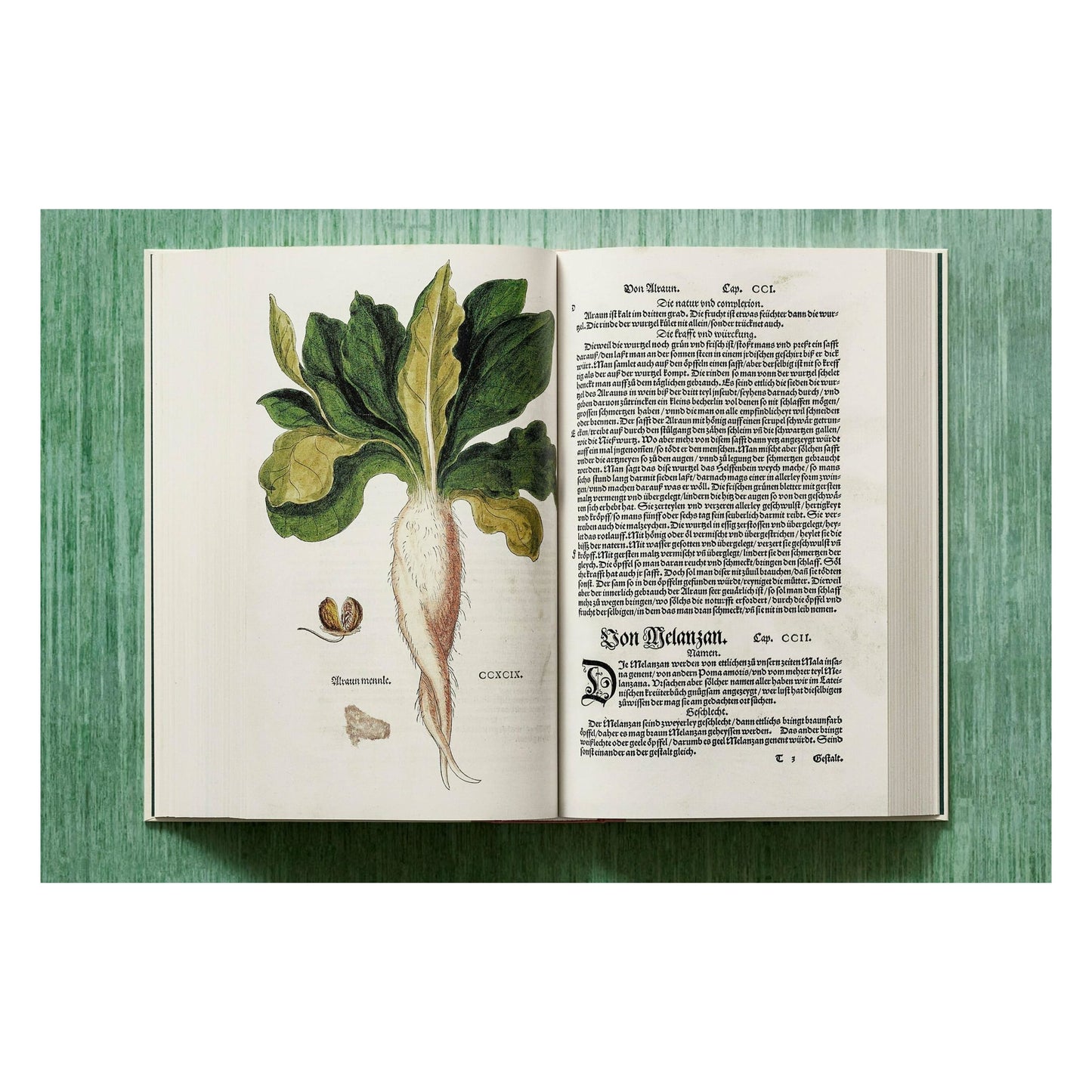 Leonhart Fuchs. Das New Kreüterbuch (German)