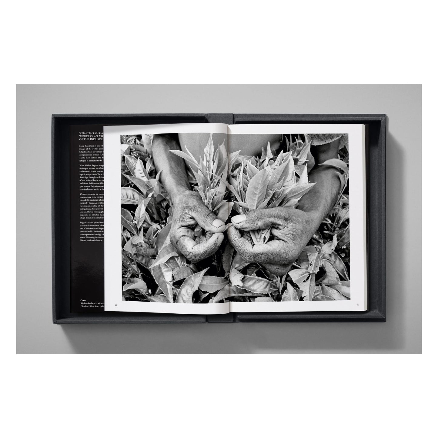 Sebastião Salgado. Workers. Art Edition No. 1–100 ‘Fishermen, Trapani, Italy, 1991’ (English)