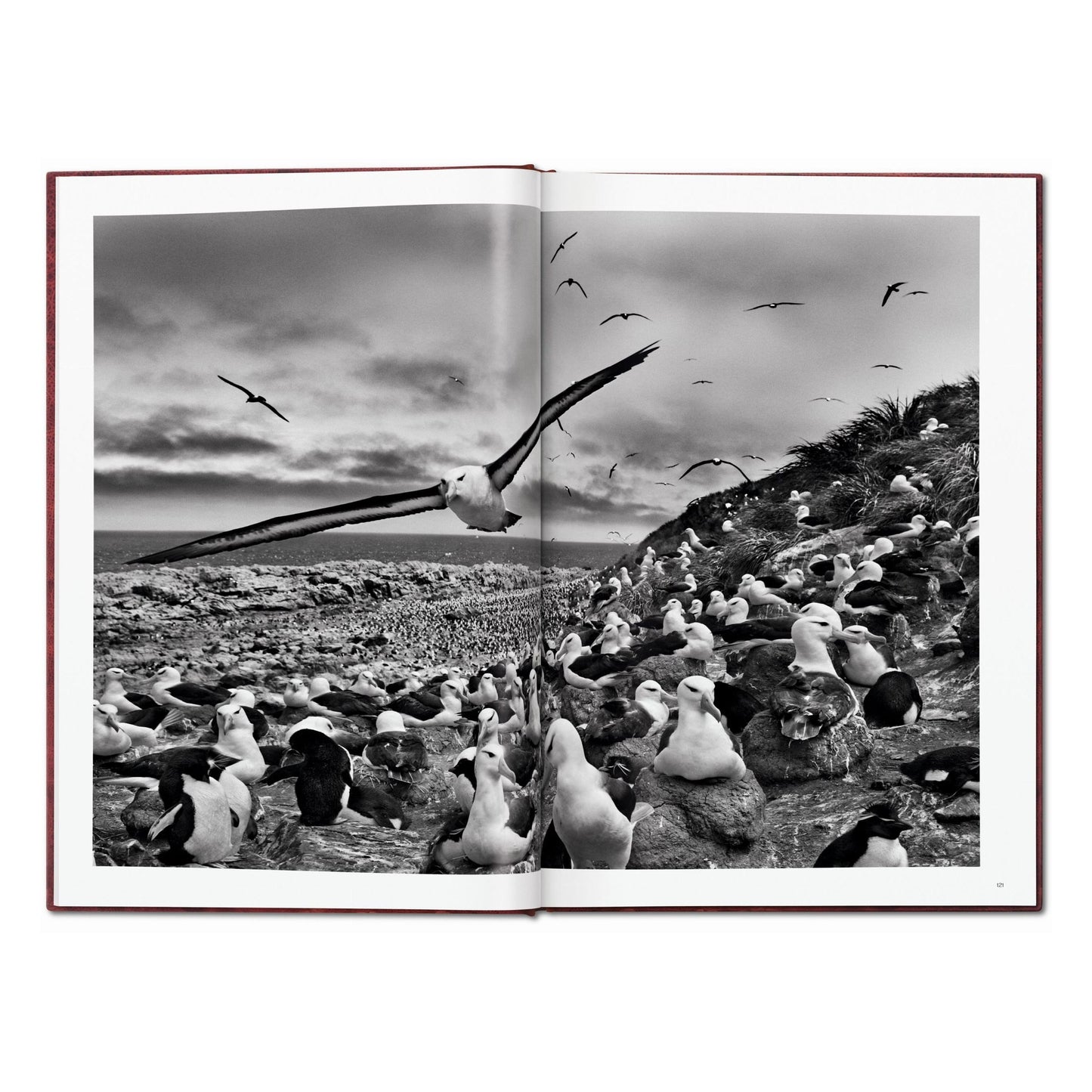 Sebastião Salgado. Genesis. Art Edition No. 101–200 ‘North of the Ob River, Yamal Peninsula, Siberia, Russia’ (English)