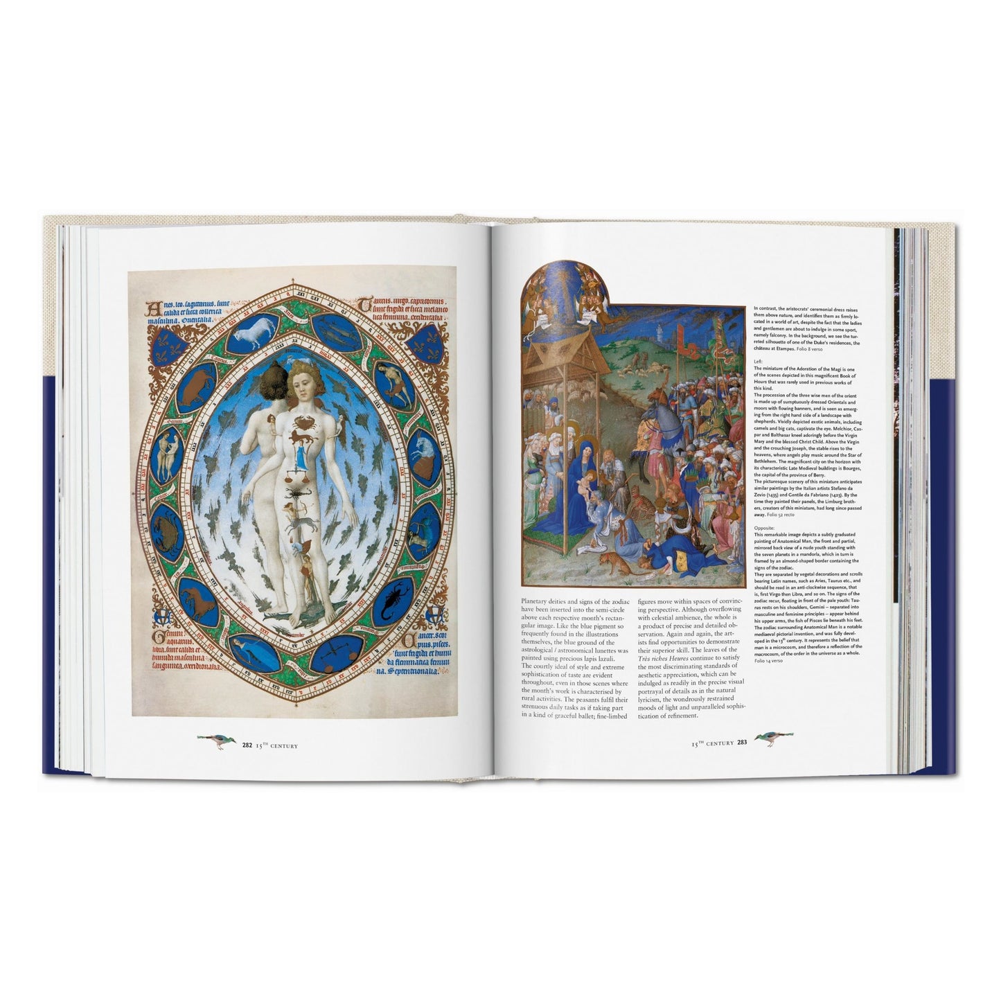 Codices illustres. Les plus beaux manuscrits enluminés du monde 400 à 1600 (French)