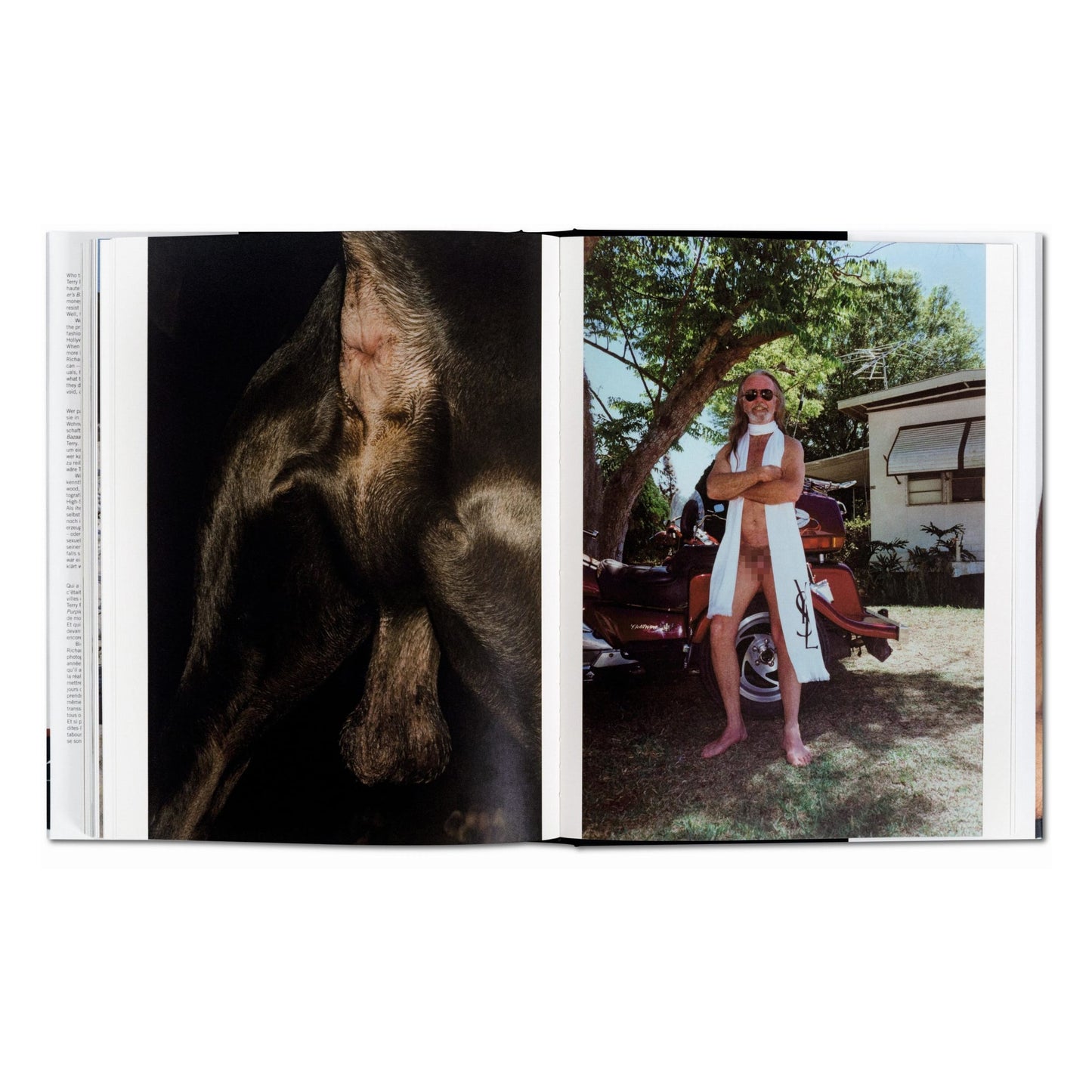 Terry Richardson. Terryworld, Art Edition No. 501–750 ‘Vanessa’ (German, French, English)