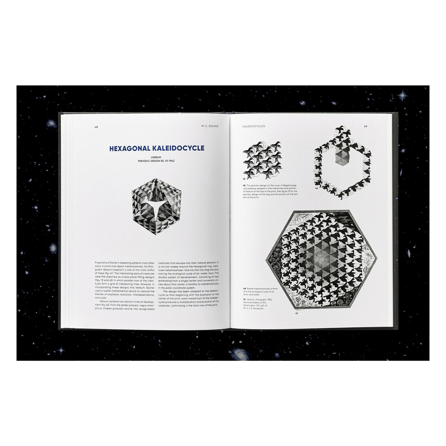 M.C. Escher. Caleidocicli (Italian)