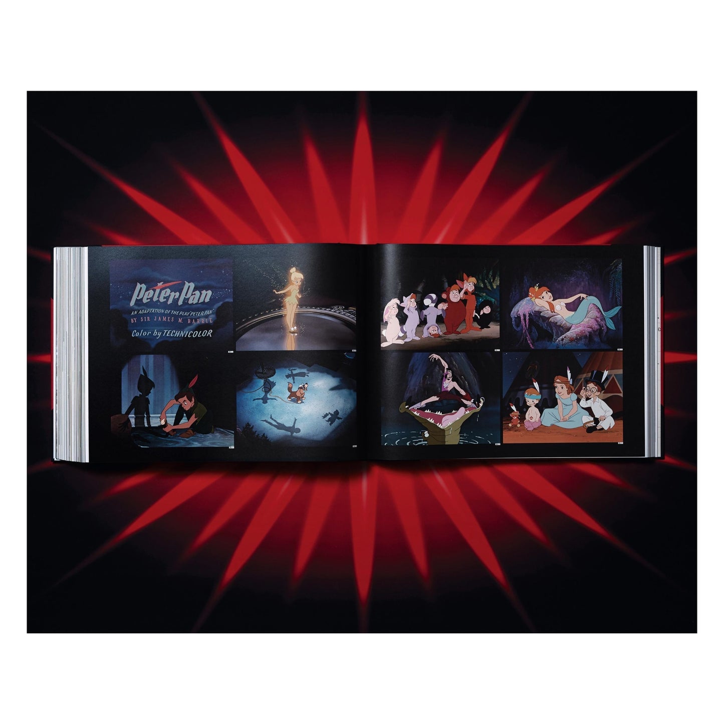 Das Walt Disney Filmarchiv. Die Animationsfilme 1921–1968 (German)