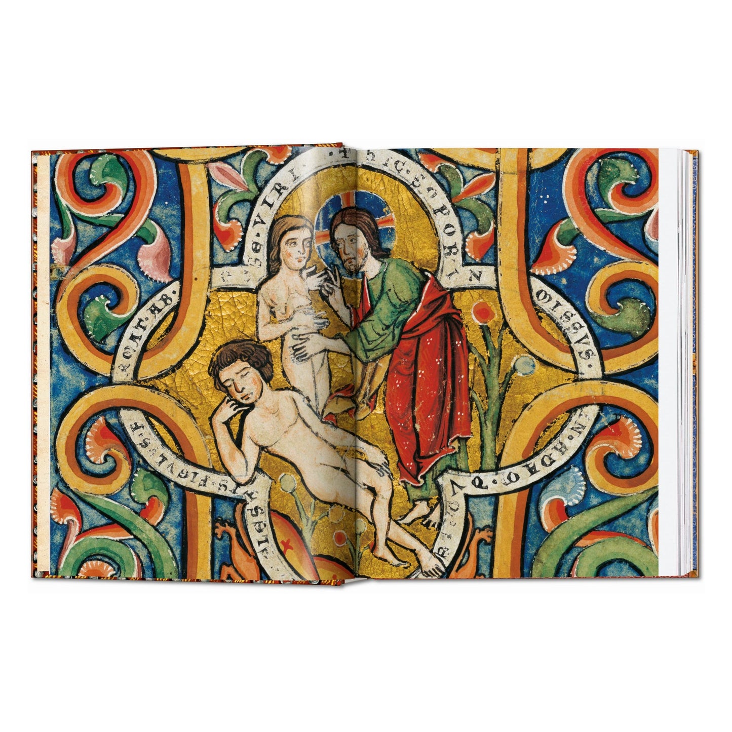 The Book of Bibles. 45th Ed. (English)