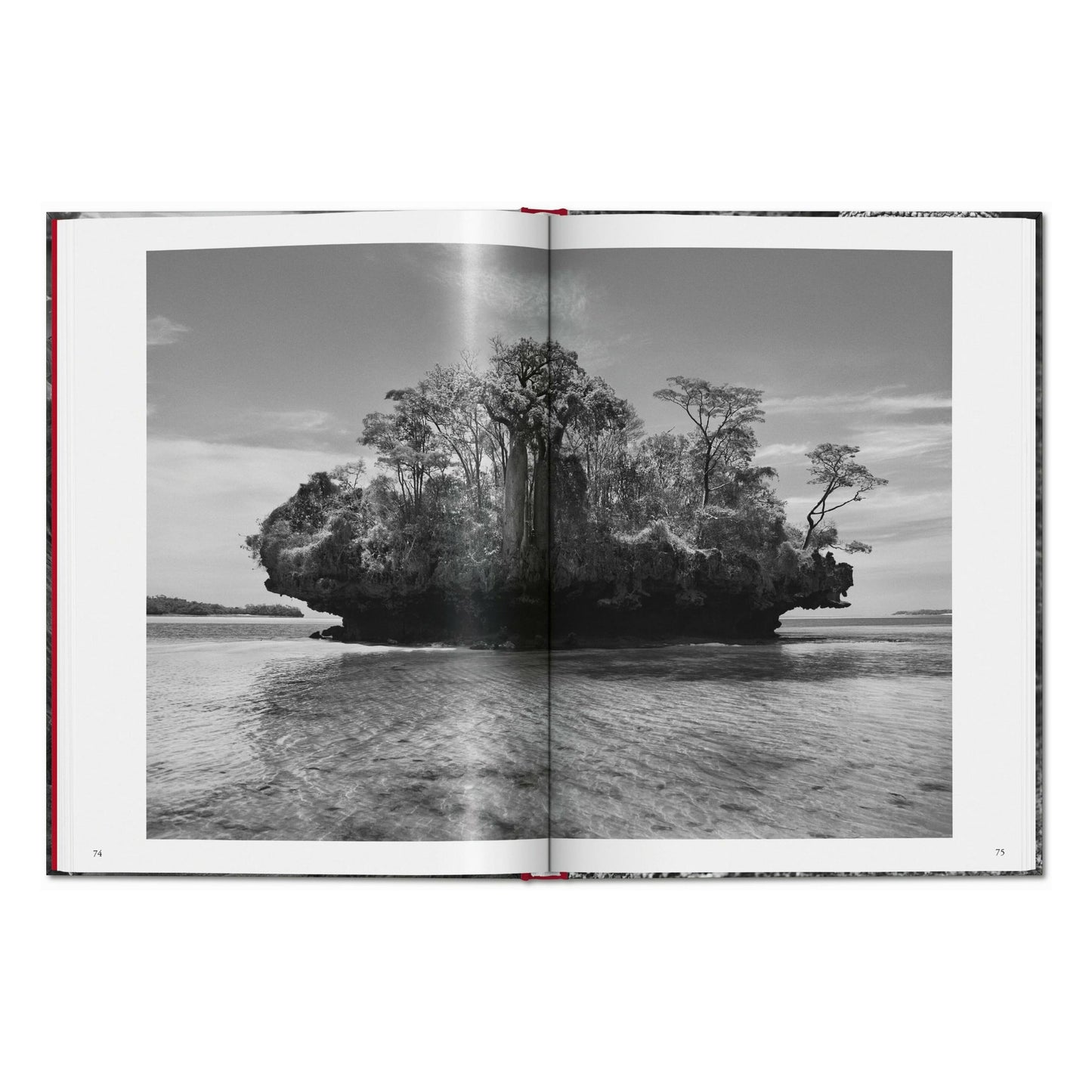 Sebastião Salgado. Genesis (German)