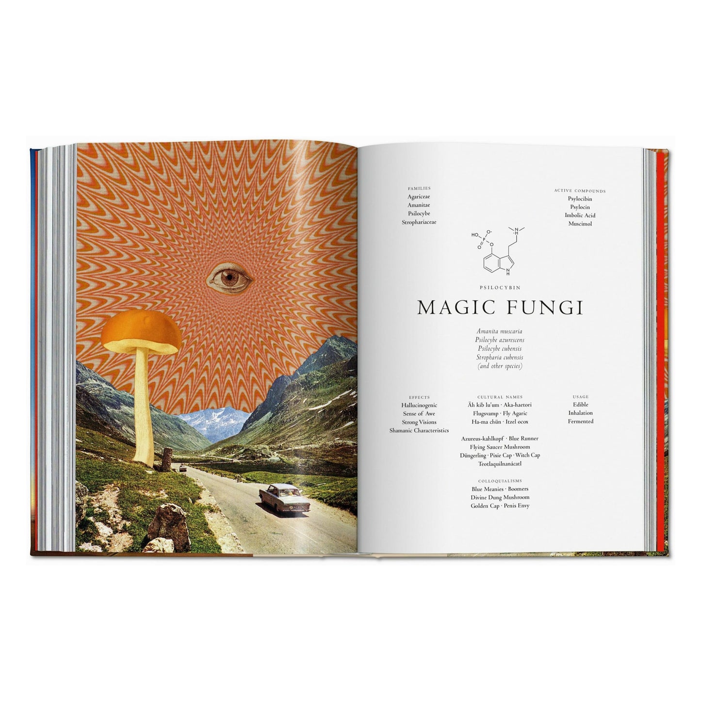 La magia de las plantas. La Biblioteca de Esoterismo (Spanish)